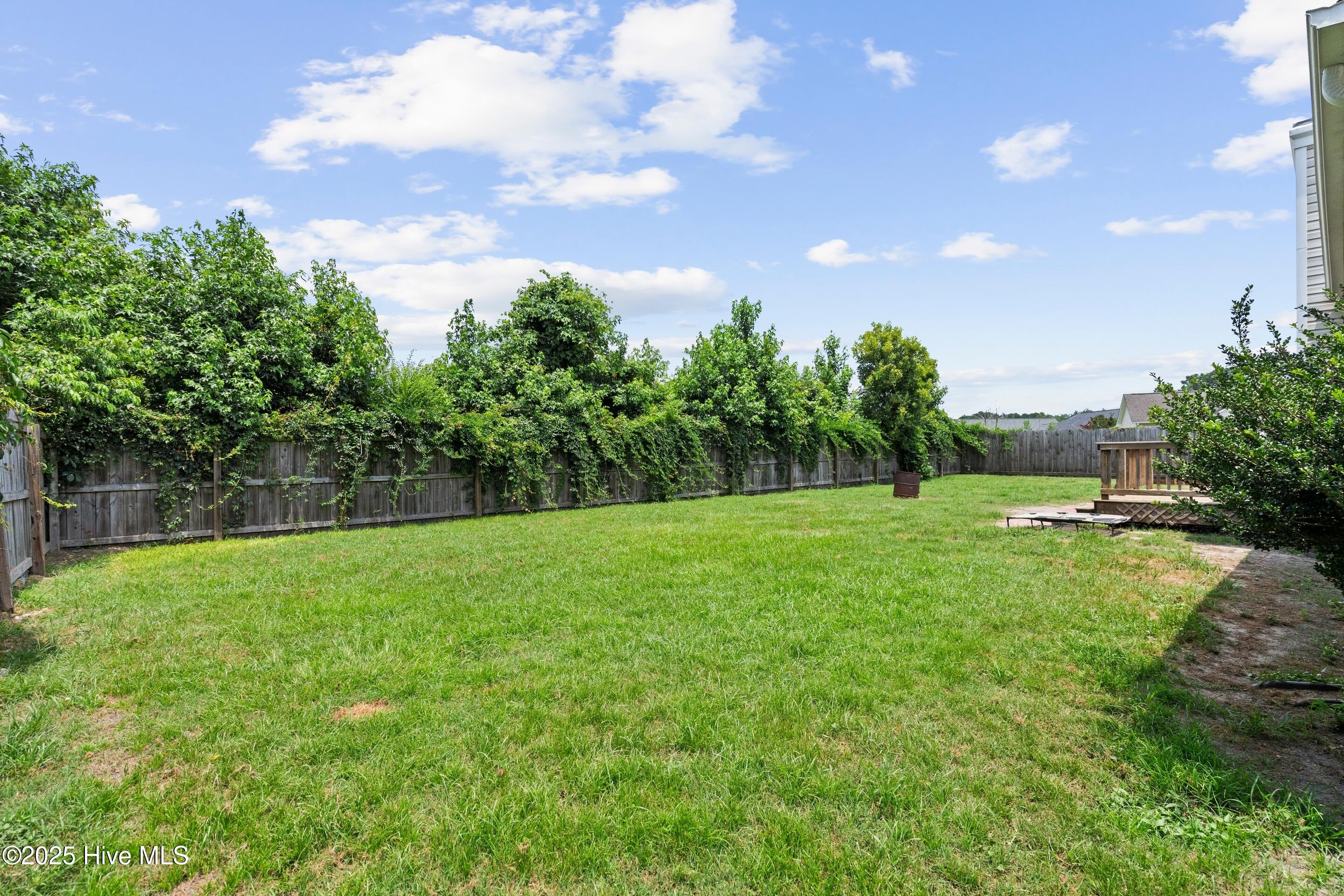 100515616 | Photo 45