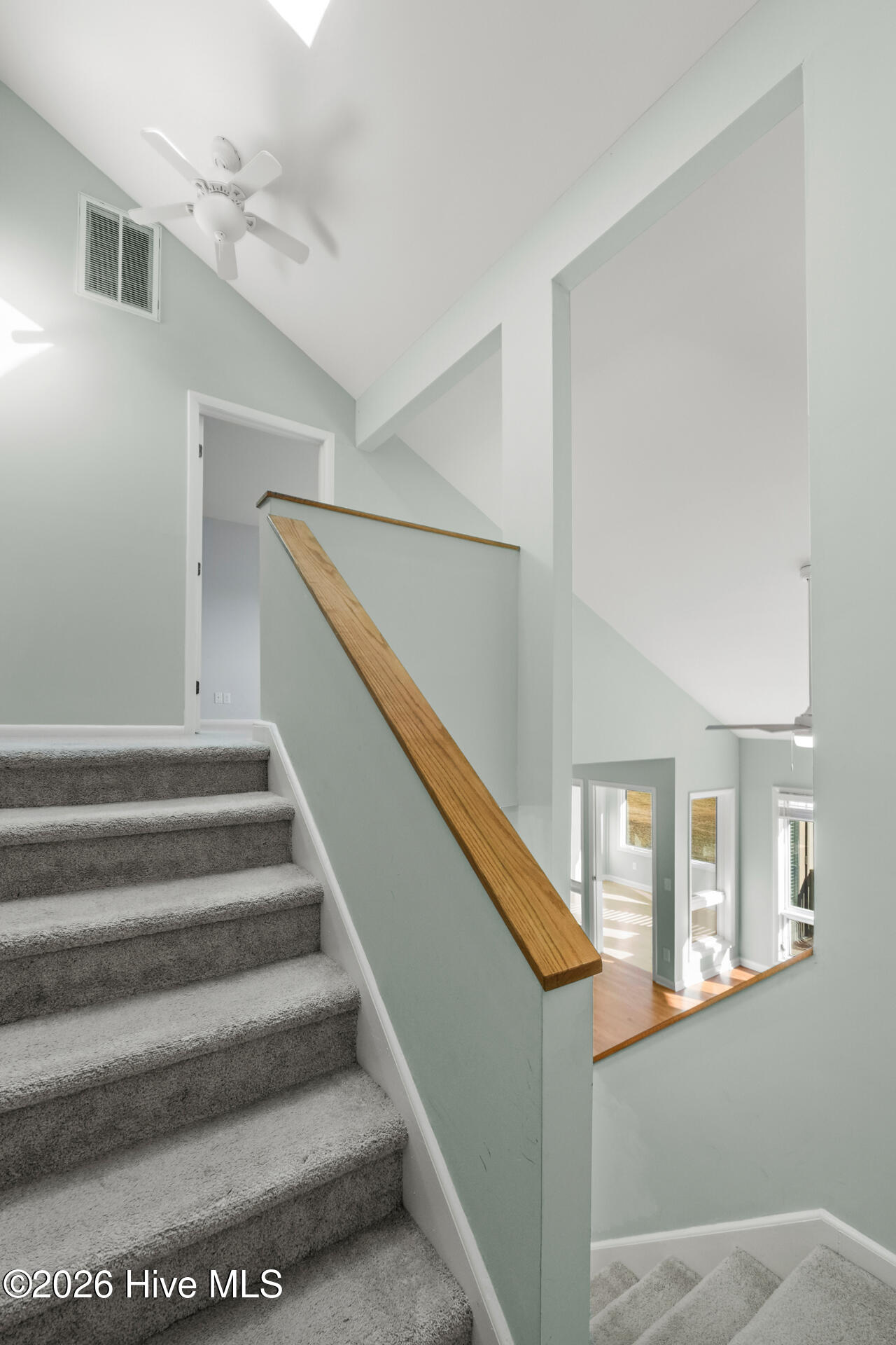 100551733 | Photo 21