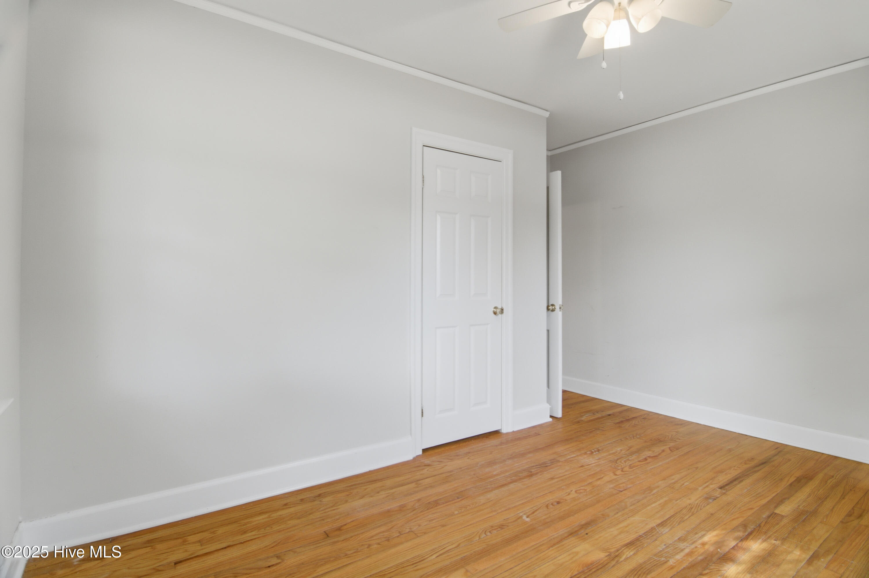 100544721 | Photo 22