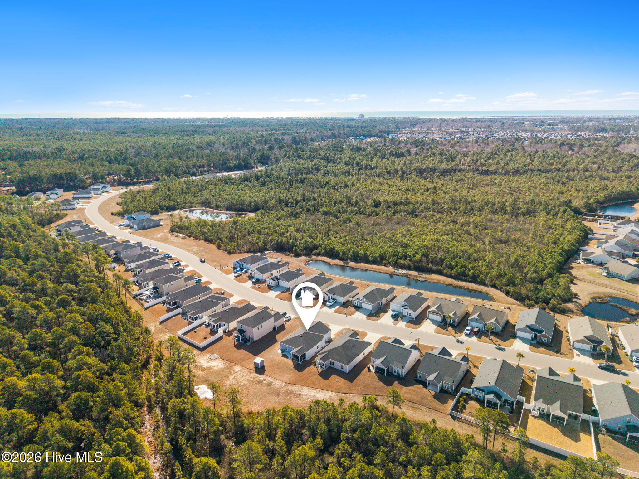 100553645 | Photo 32