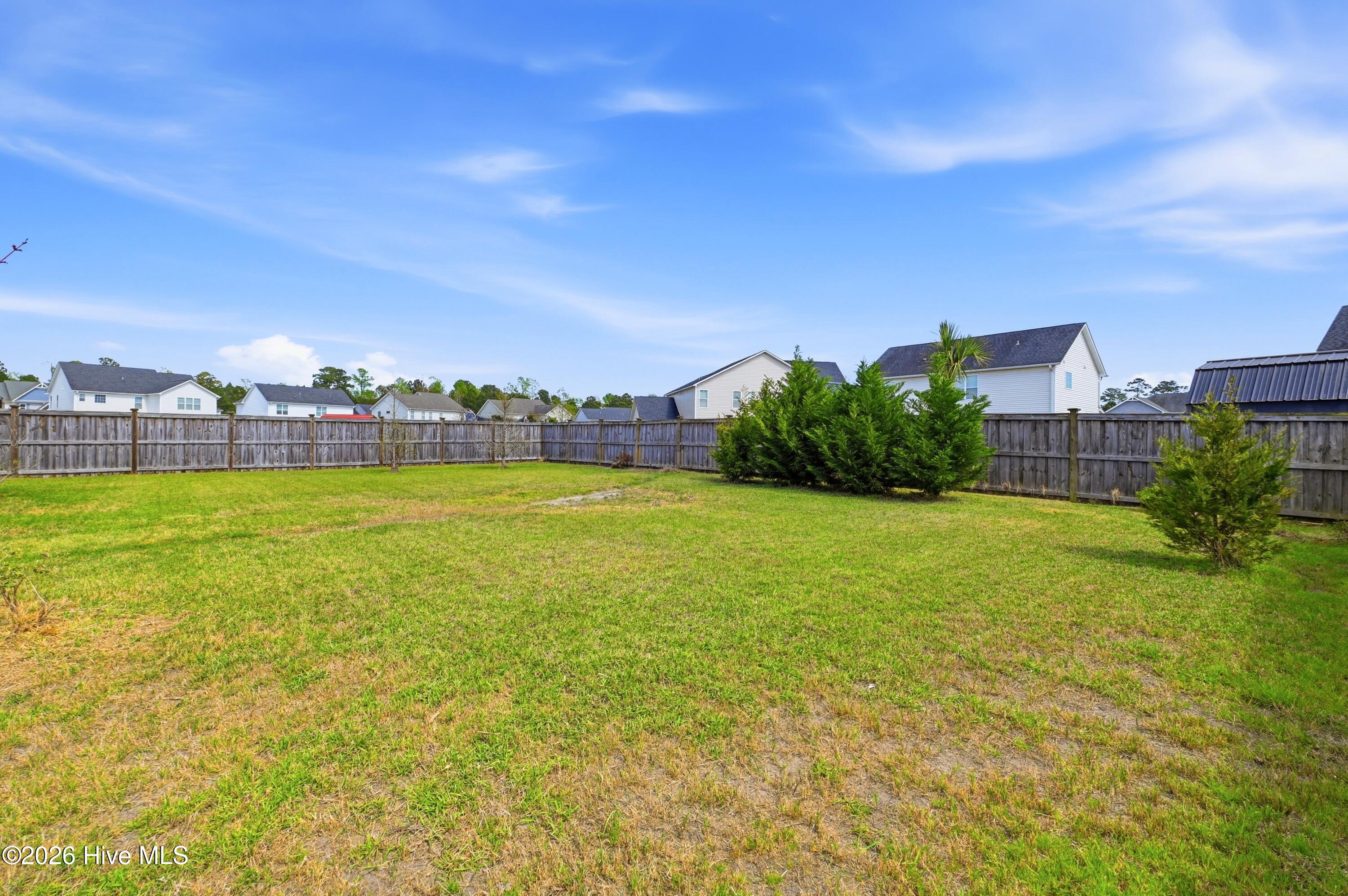 100563104 | Photo 40