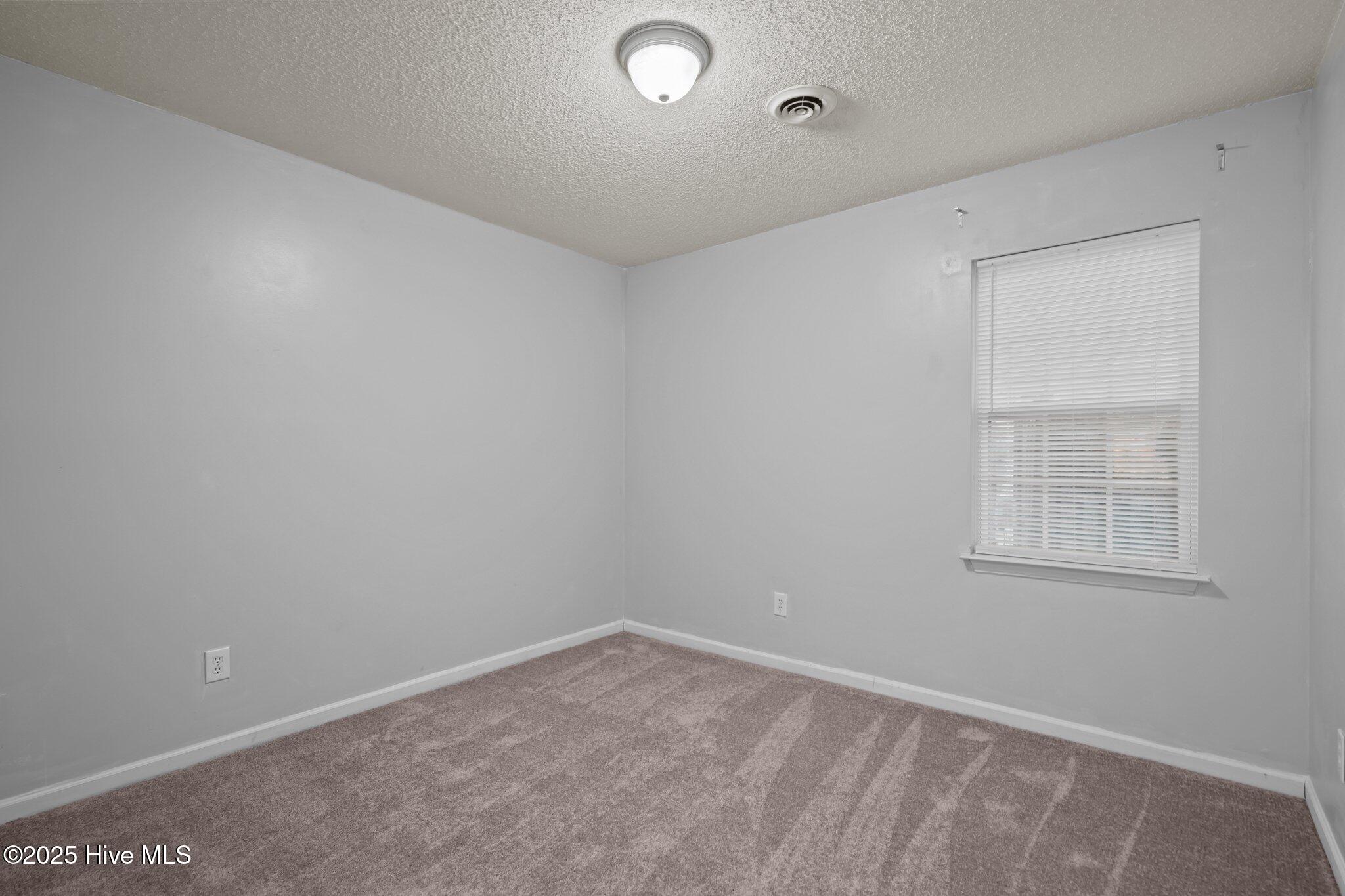 100533443 | Photo 25