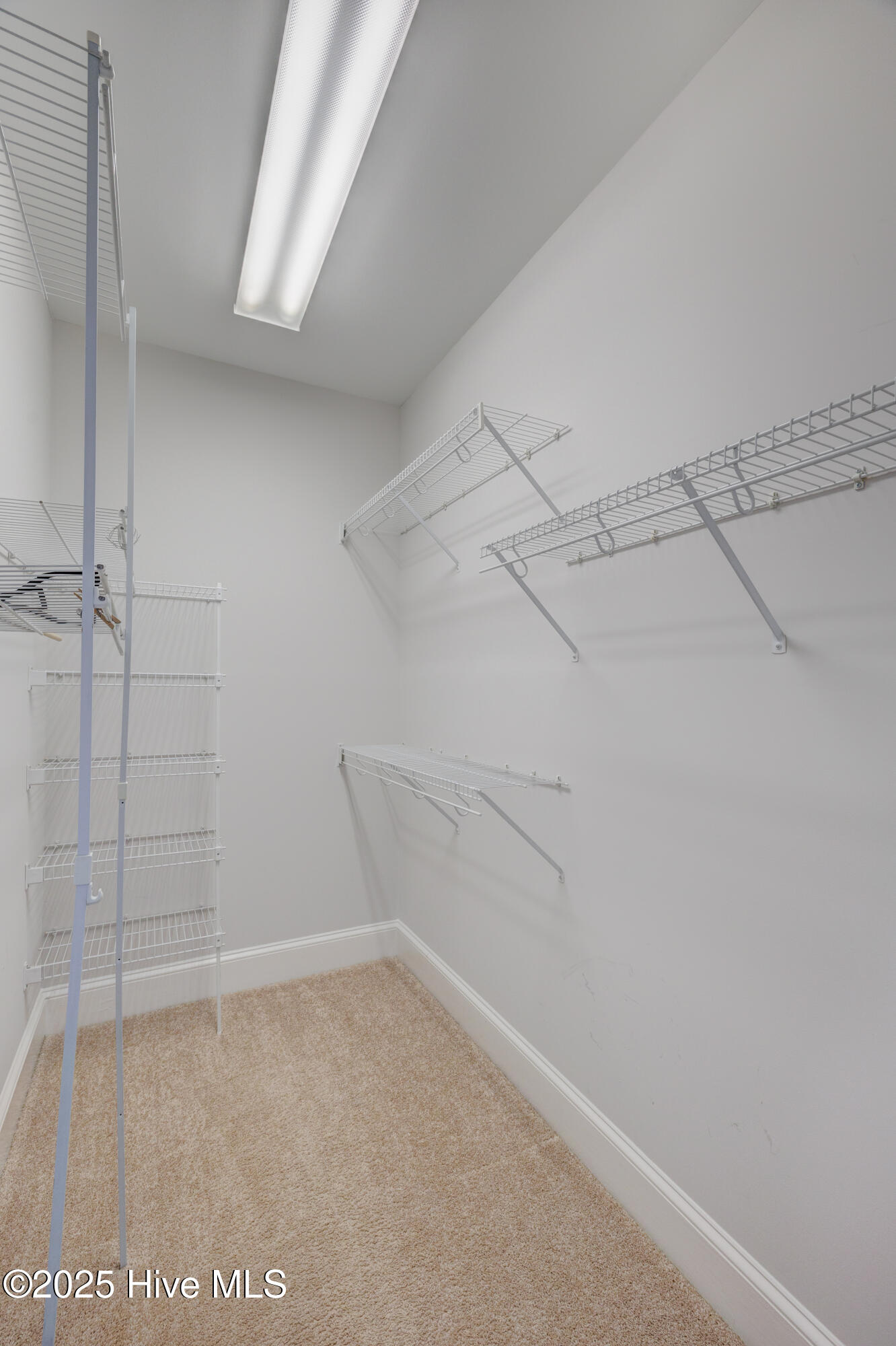 100534923 | Photo 26