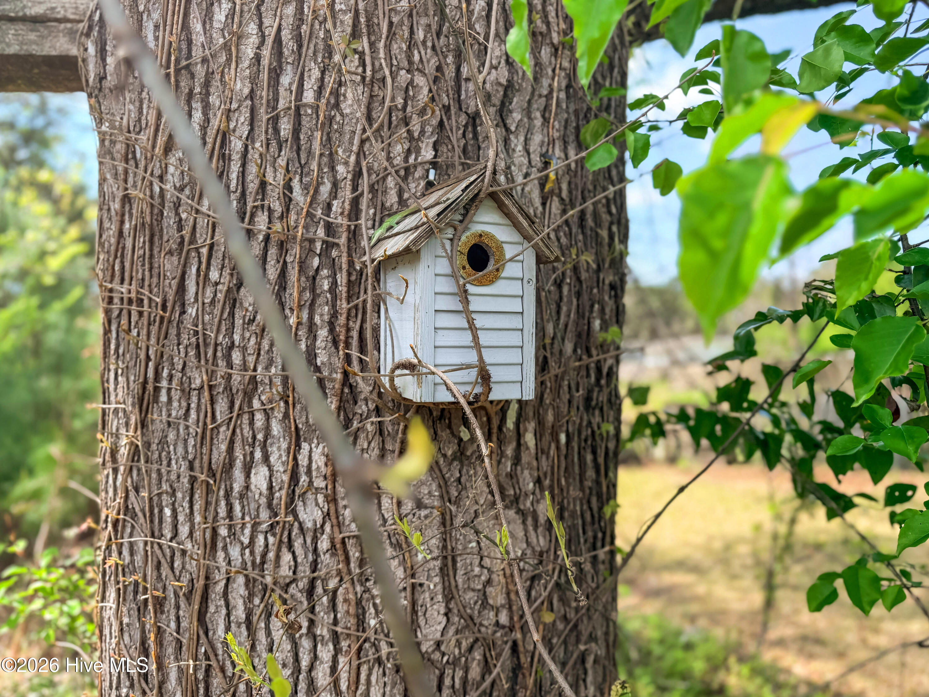 100564725 | Photo 39