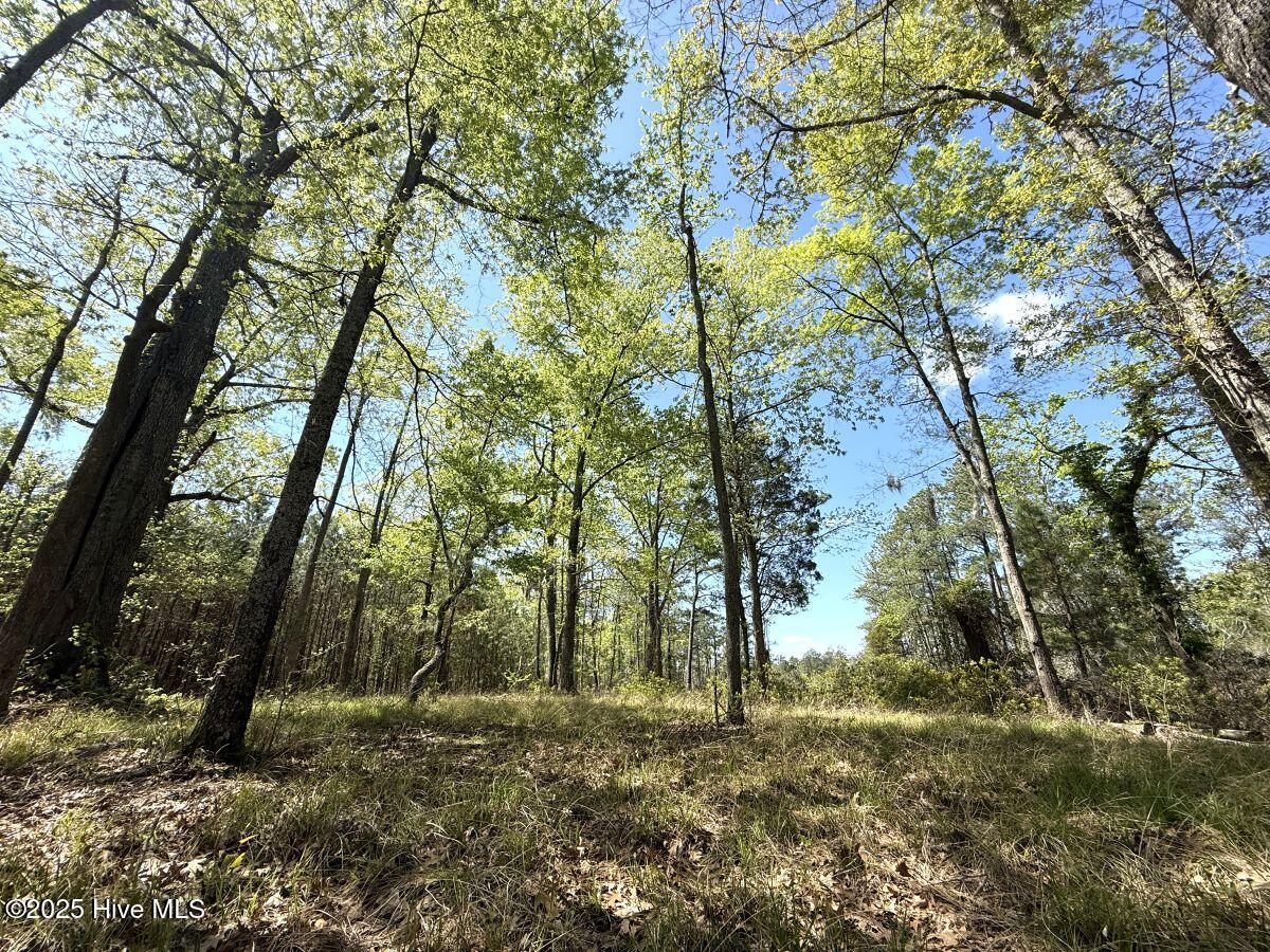 Lot 48 Sunset Point, Belhaven, NC, 27810