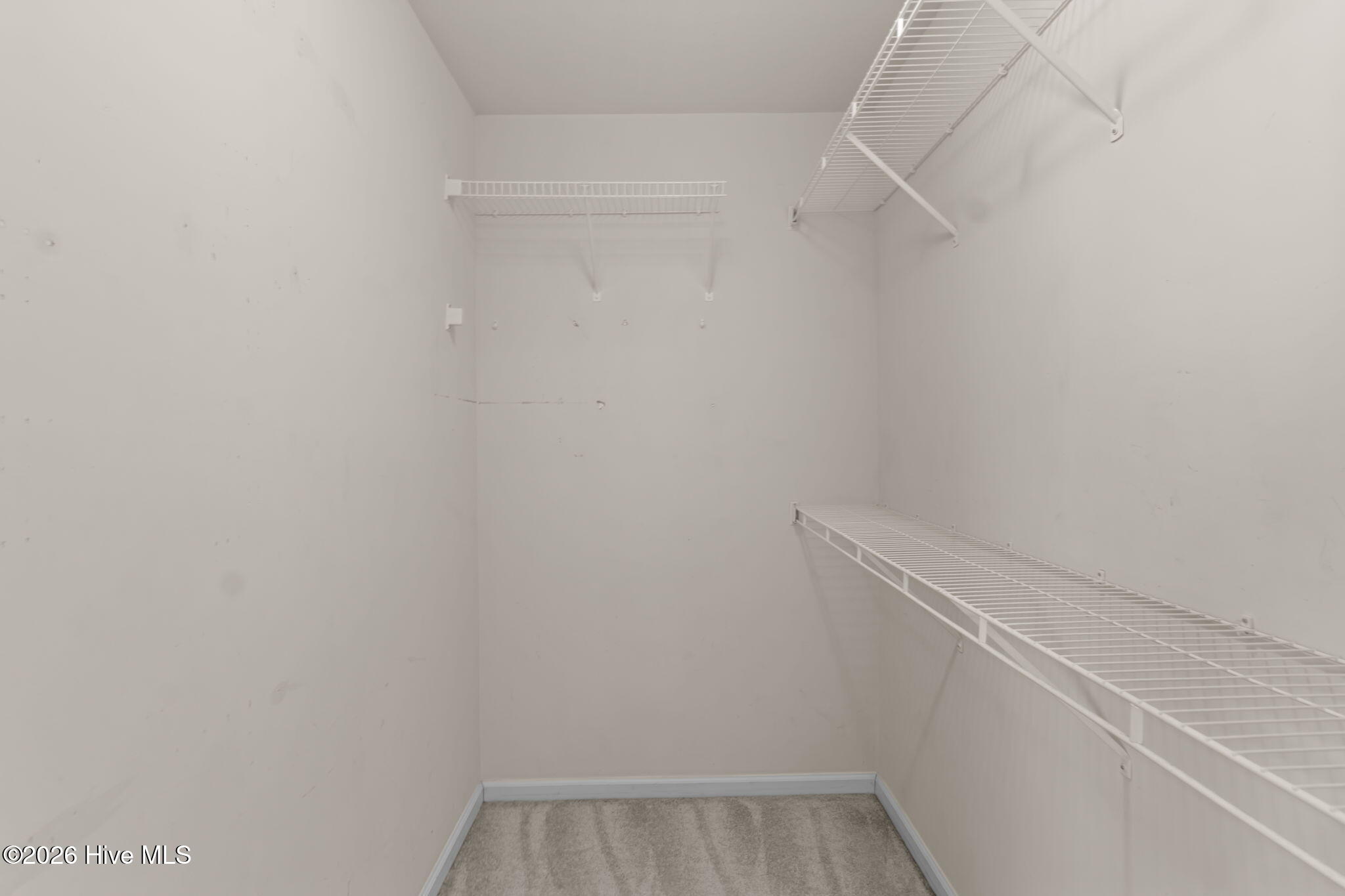 100561505 | Photo 27