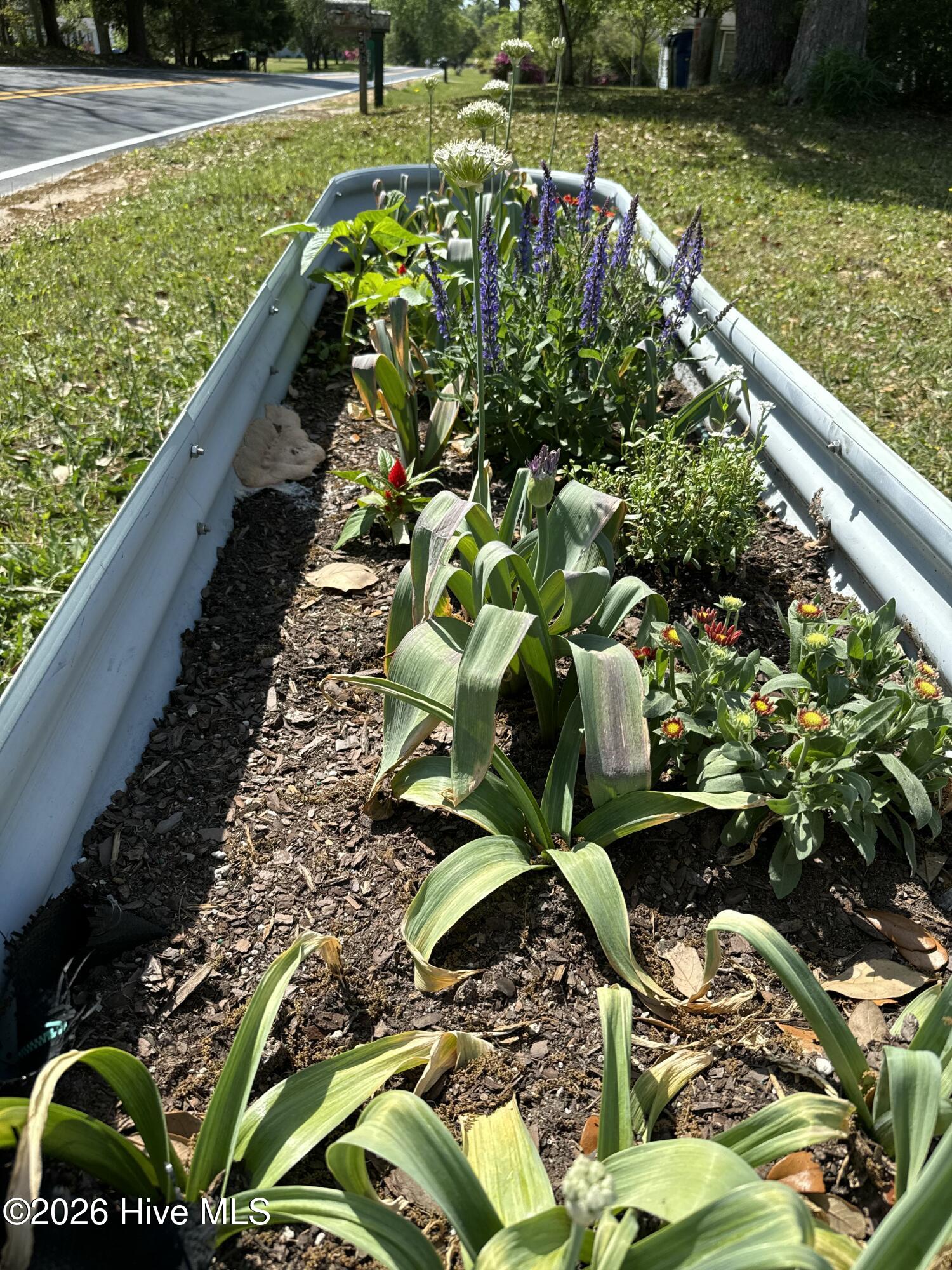 100553037 | Photo 48