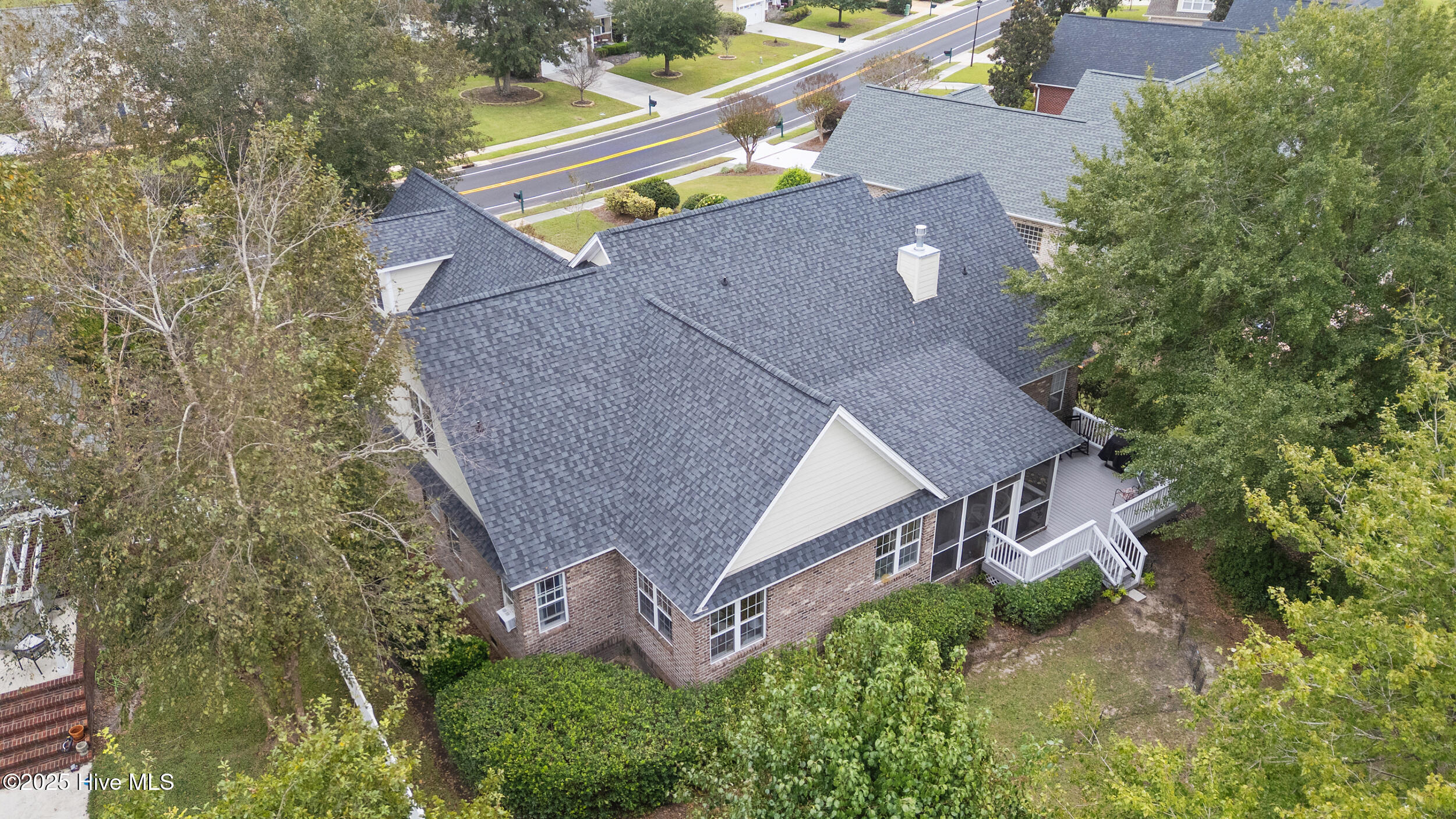 100536659 | Photo 47