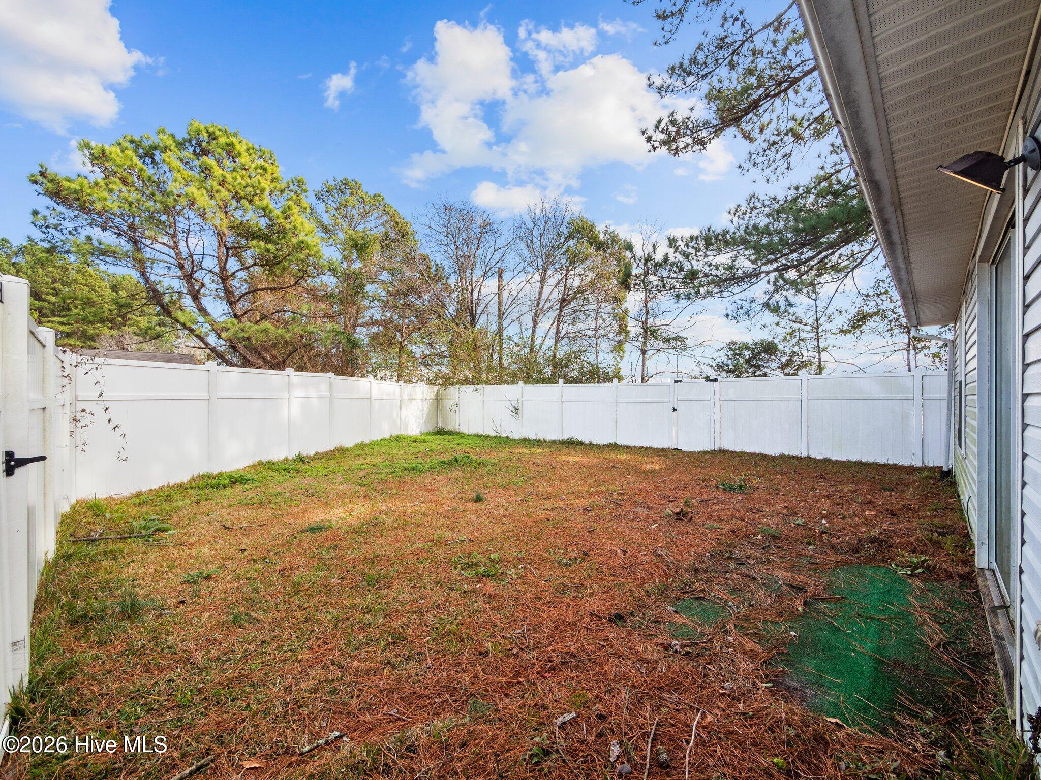 100563808 | Photo 19