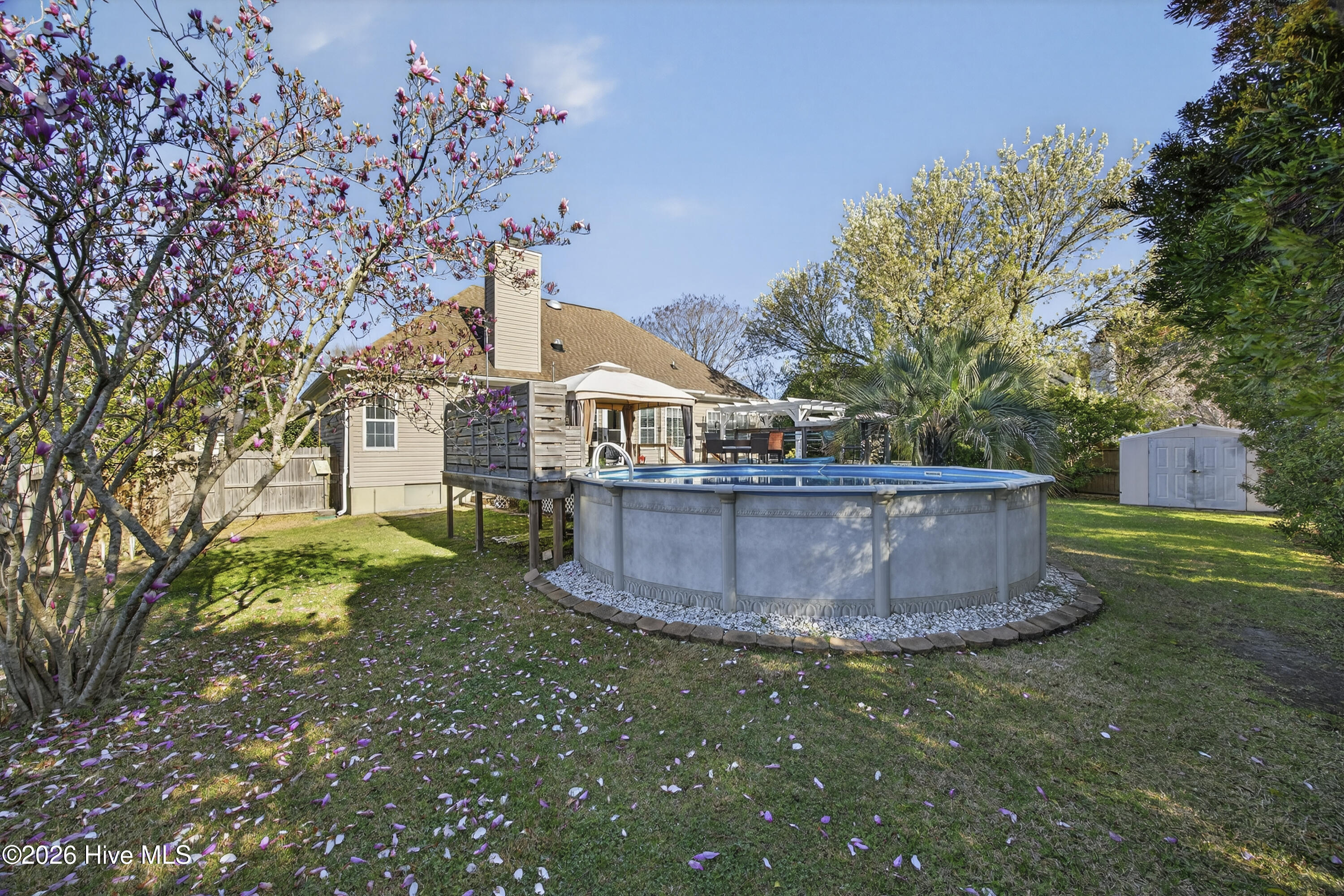 100560276 | Photo 37