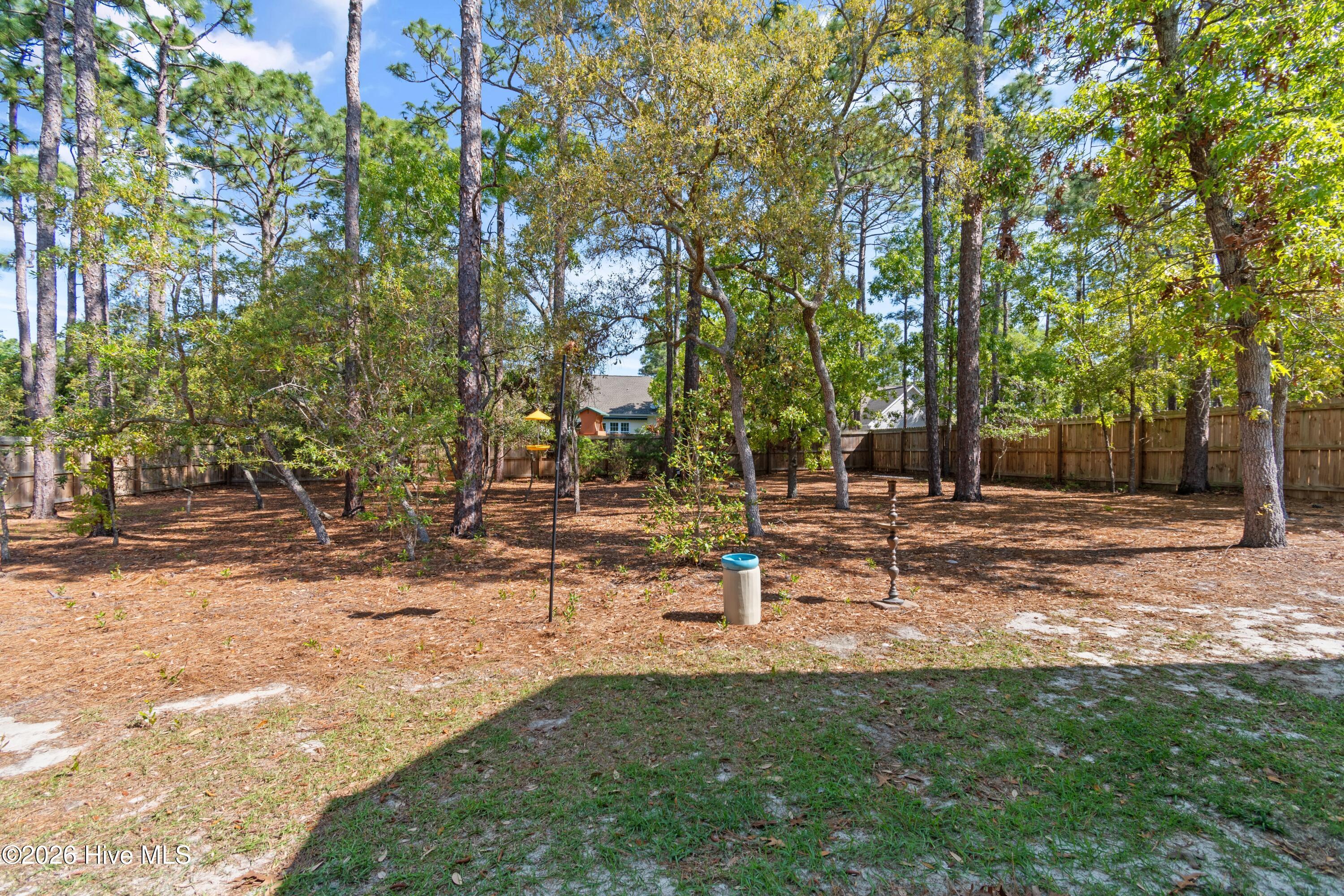 100568051 | Photo 34