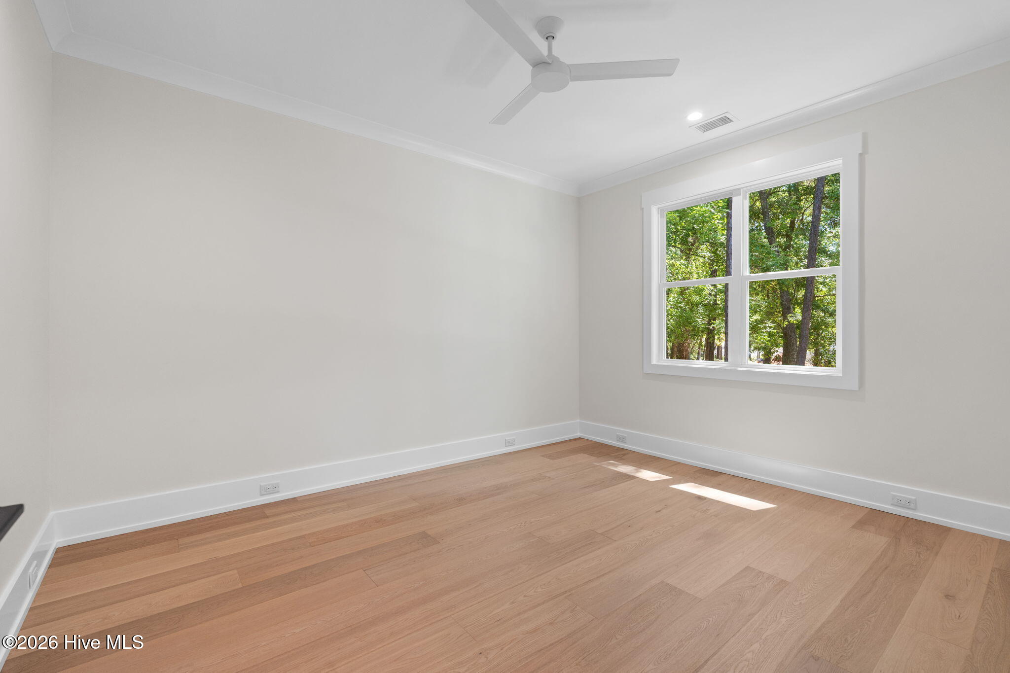 100568916 | Photo 52