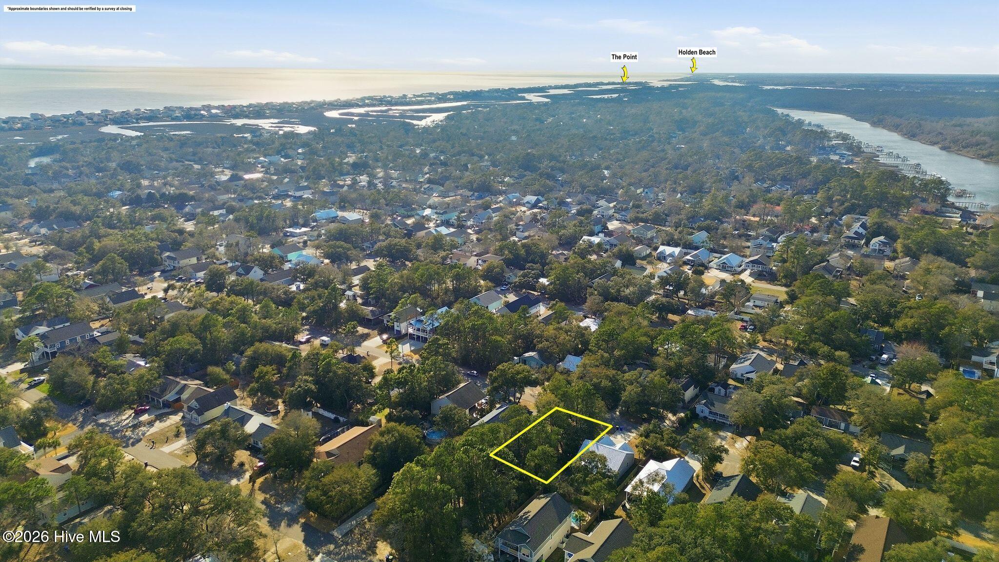 100556536 | Photo 19