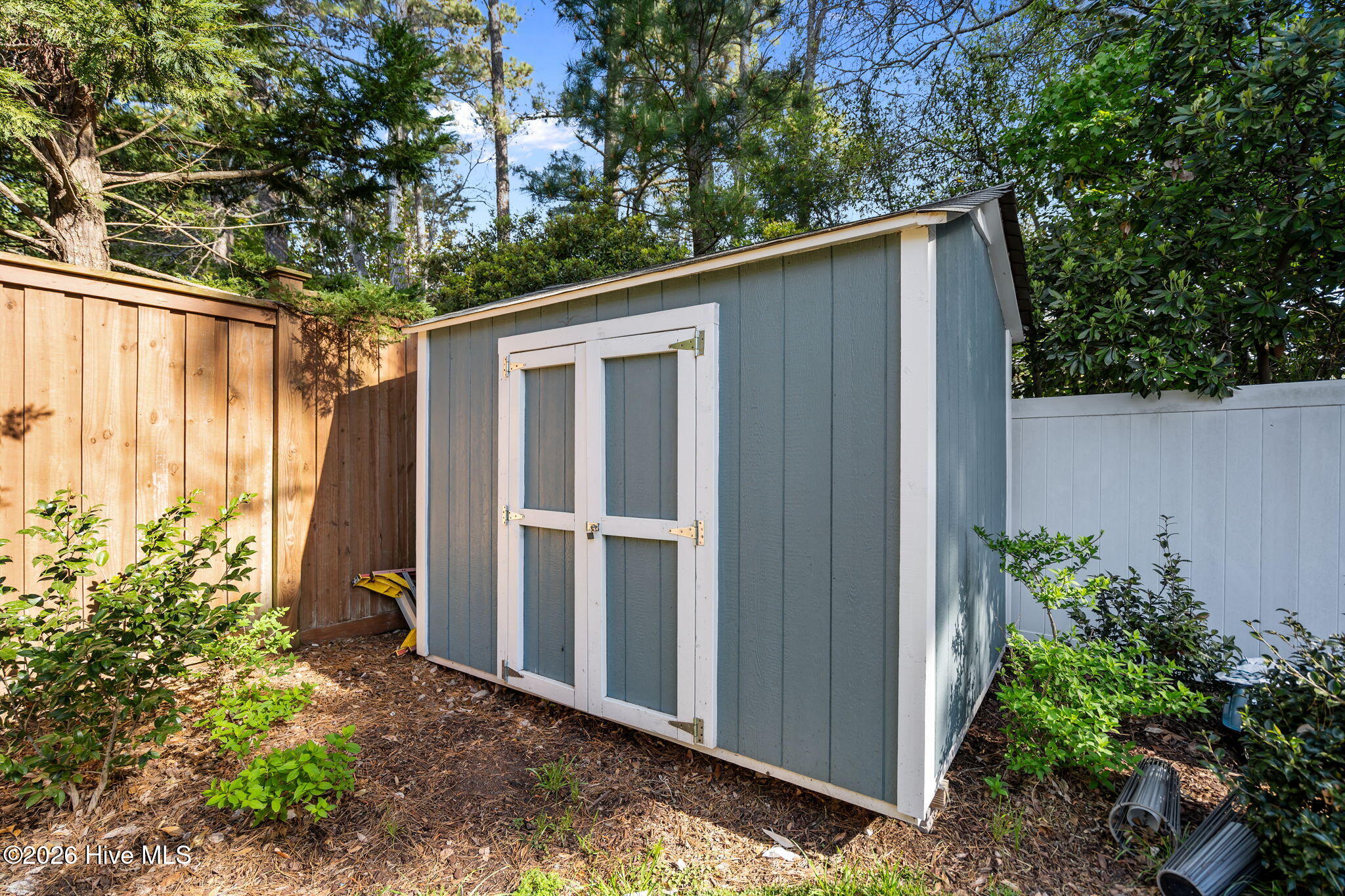 100565239 | Photo 57