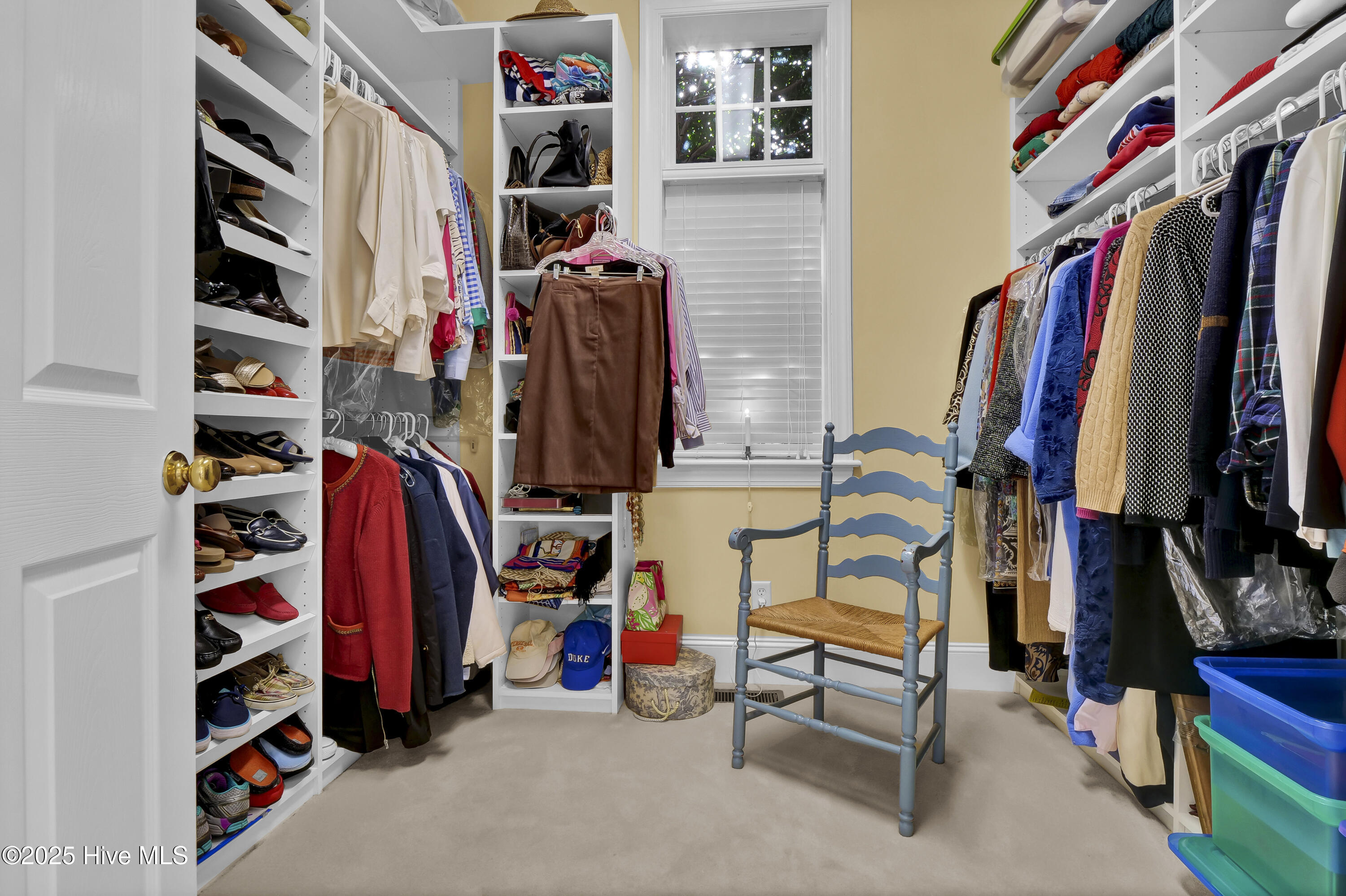 100559823 | Photo 31