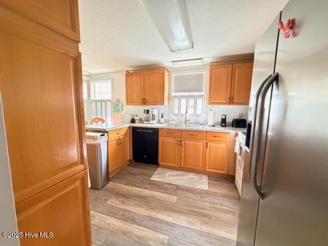 100546387 | Photo 44