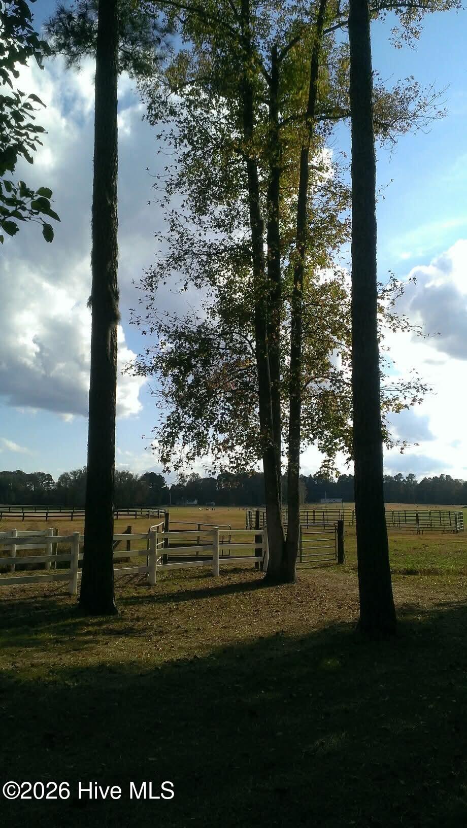100564299 | Photo 23