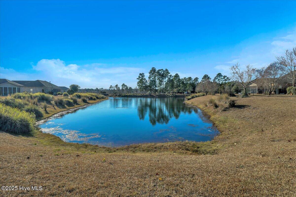 100545391 | Photo 32