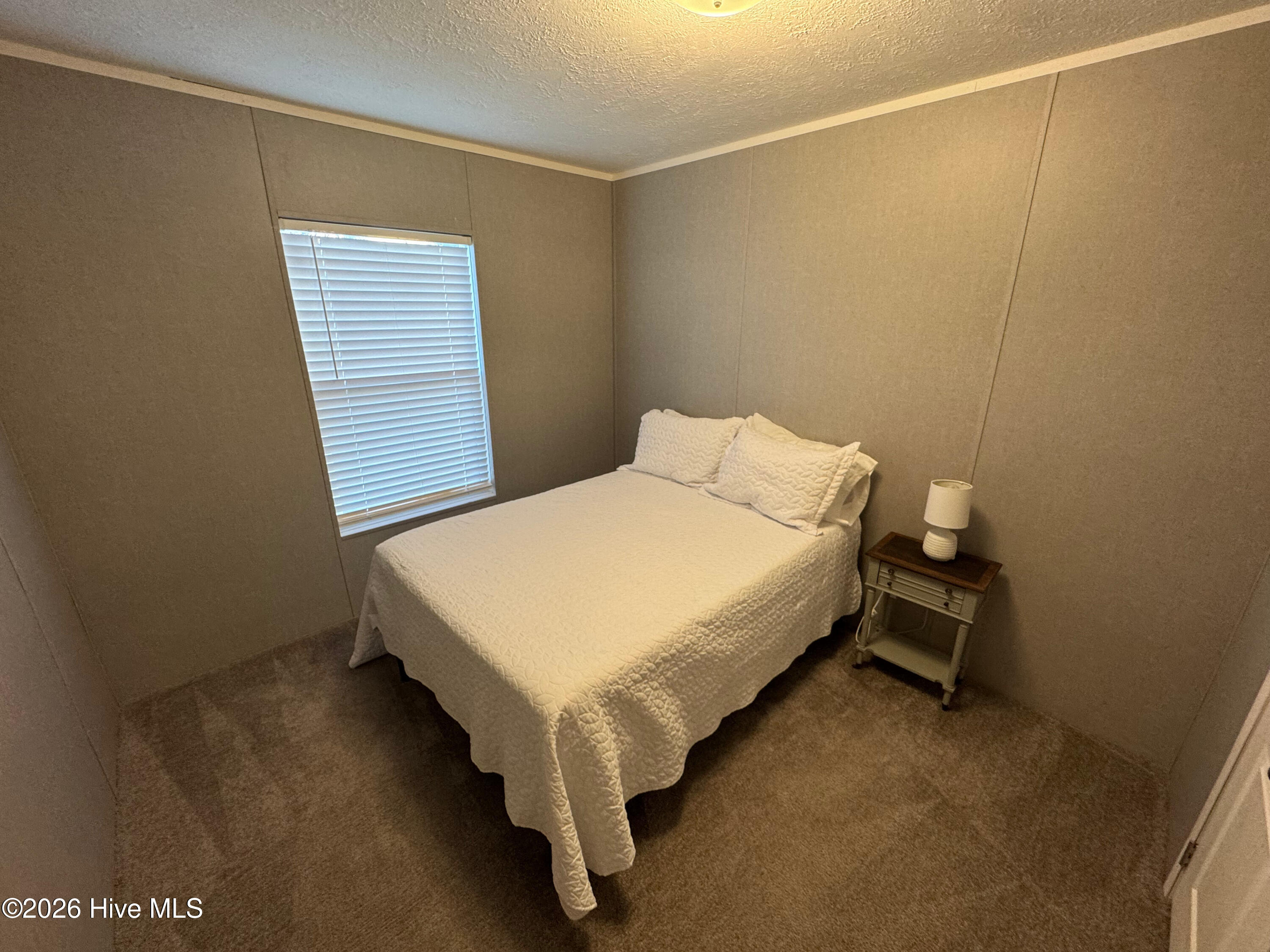 100558875 | Photo 28