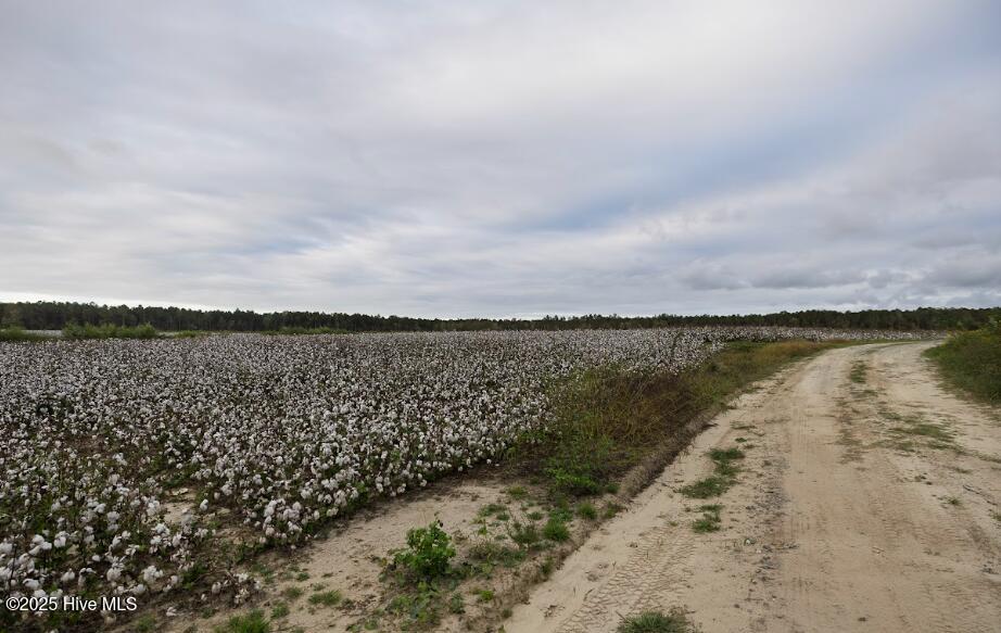 100538697 | Photo 12