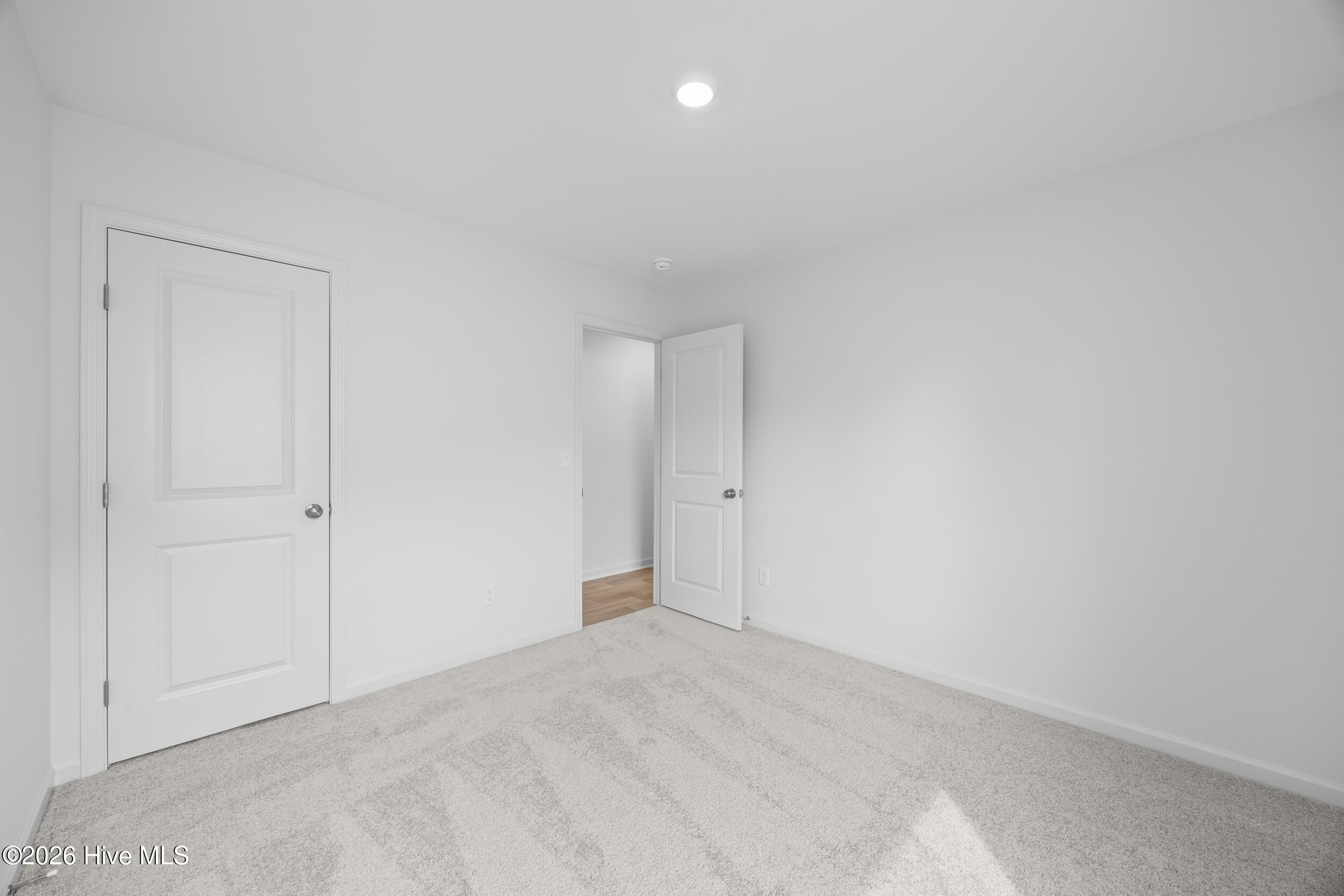 100554421 | Photo 16