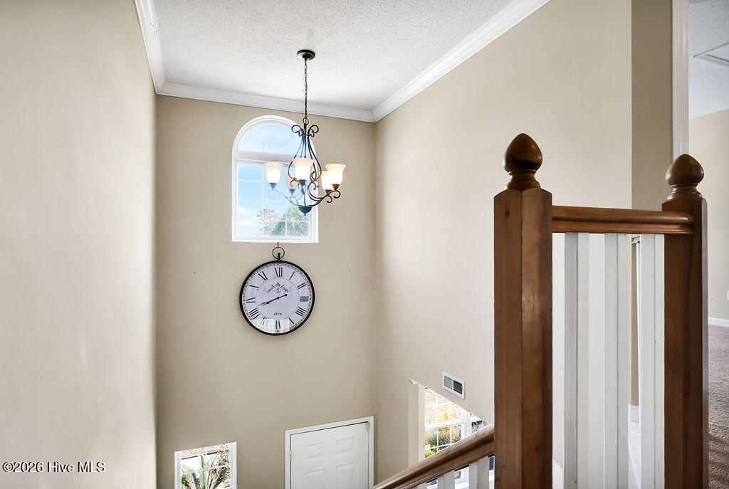 100563606 | Photo 21