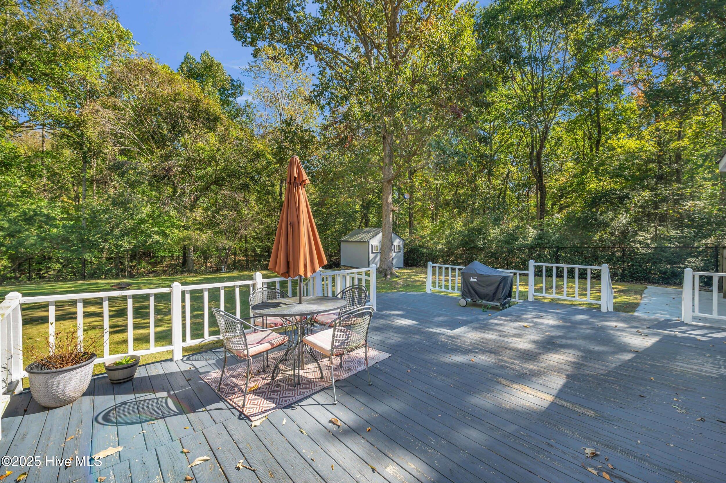 100537583 | Photo 40