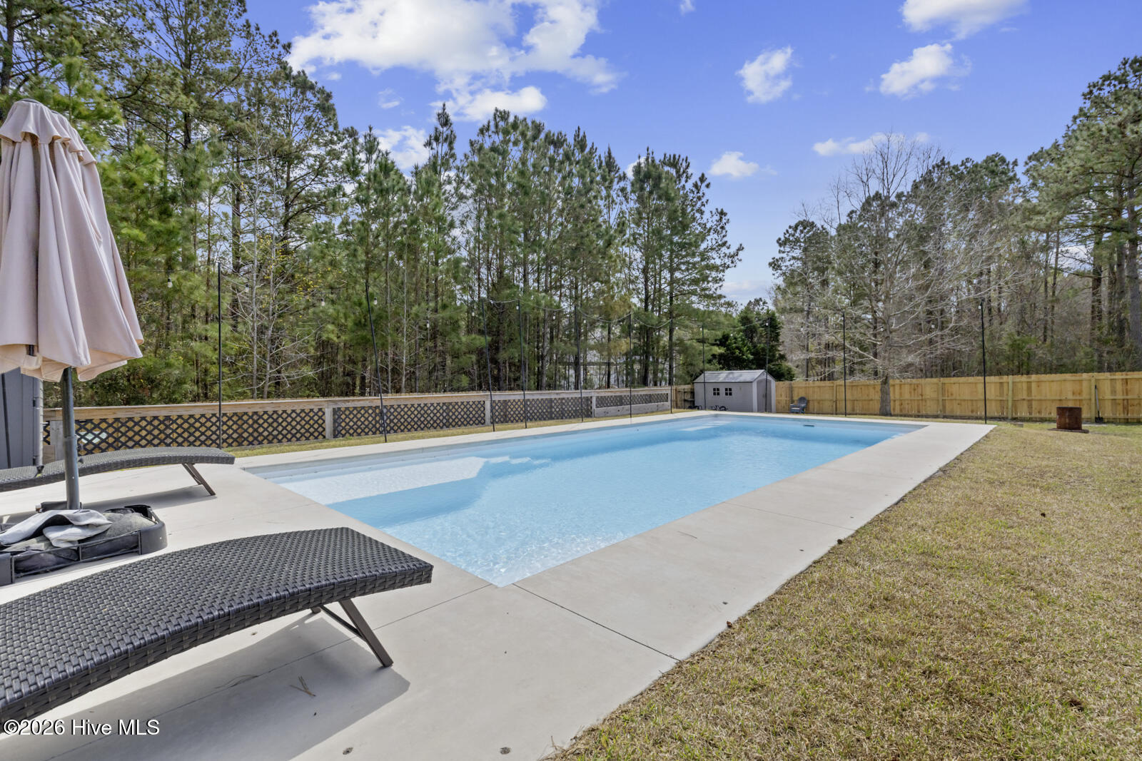 100562743 | Photo 50