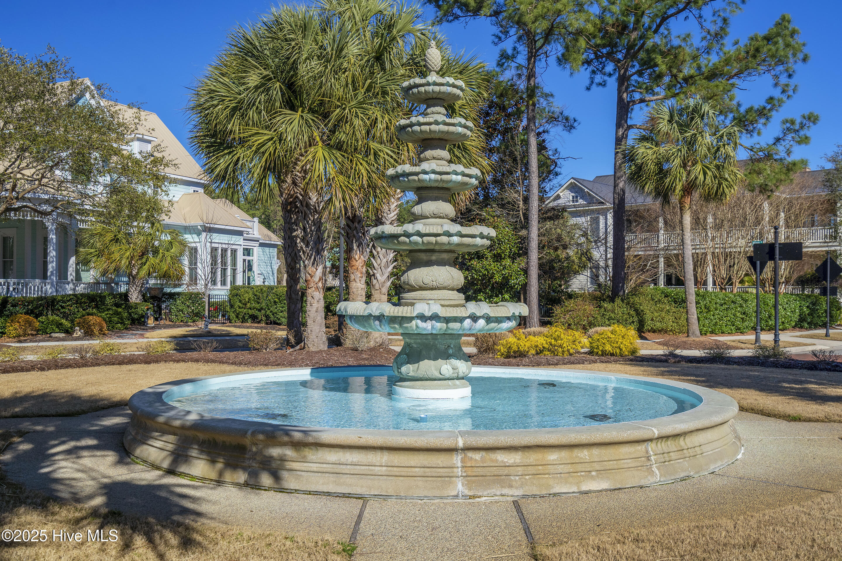 100537551 | Photo 75