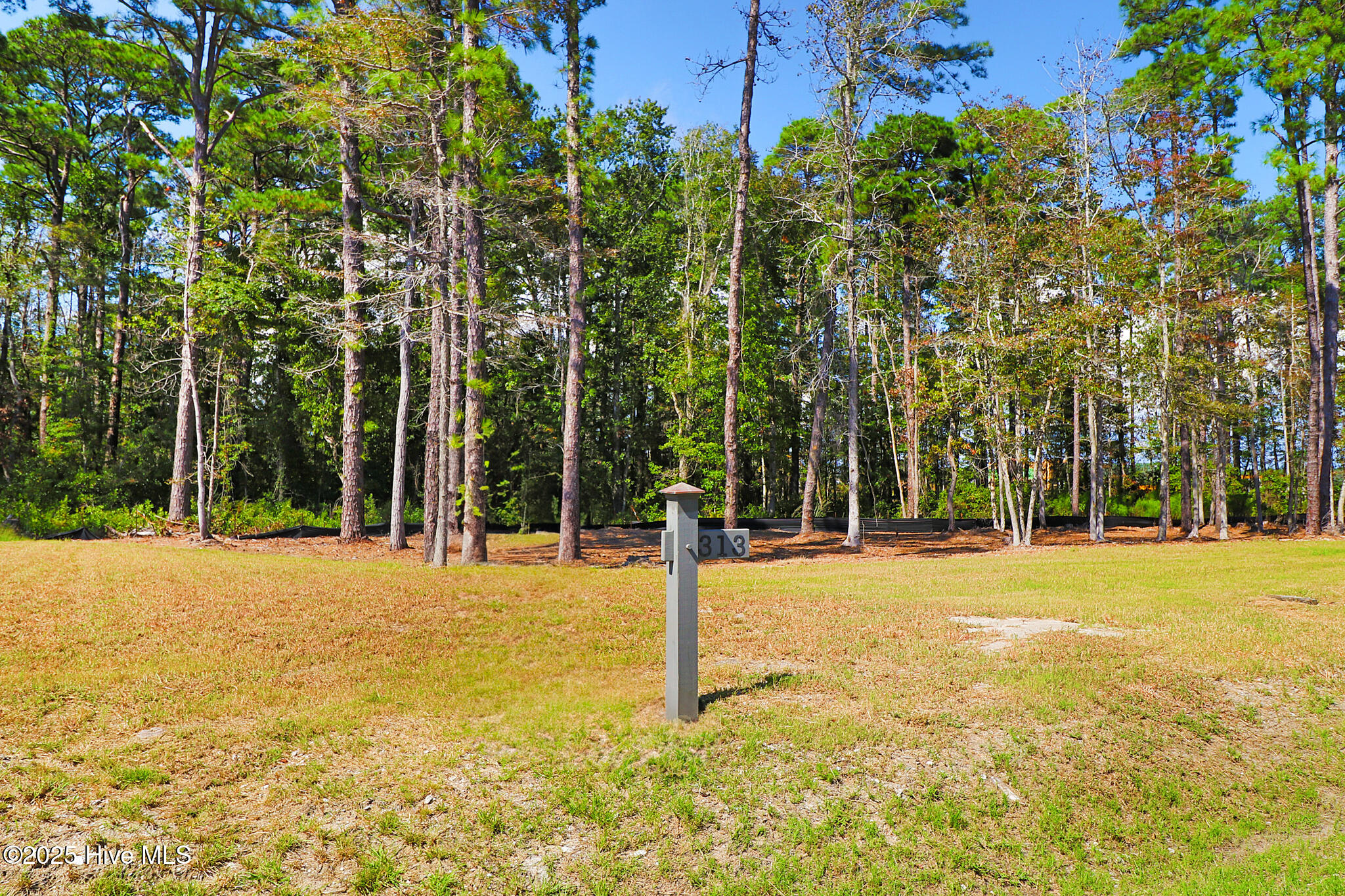479 Freedom Park Road,Beaufort