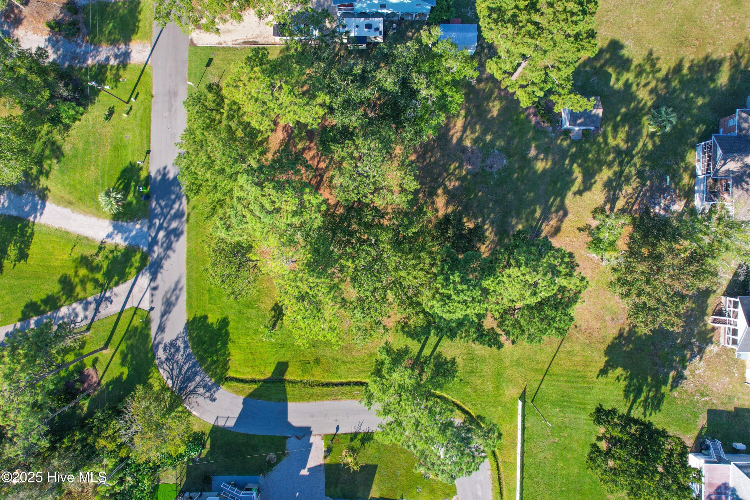 100529264 | Photo 13