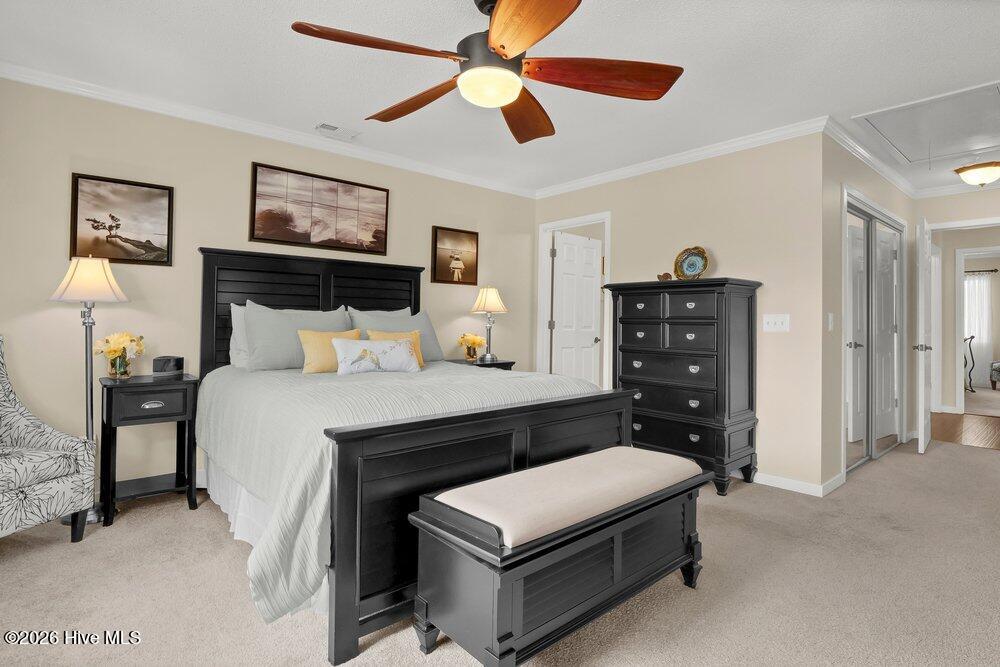 100558966 | Photo 15