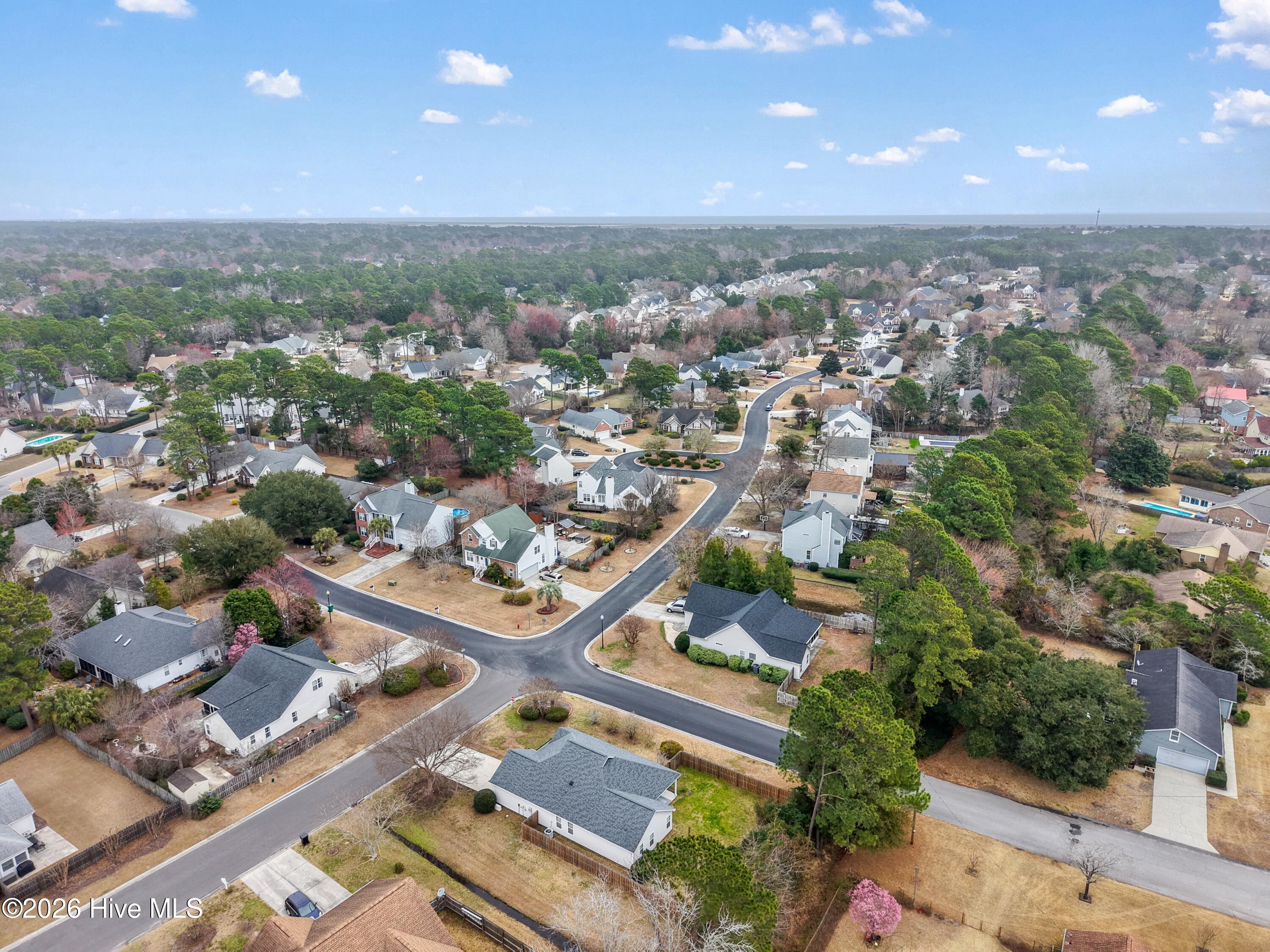 100558212 | Photo 42