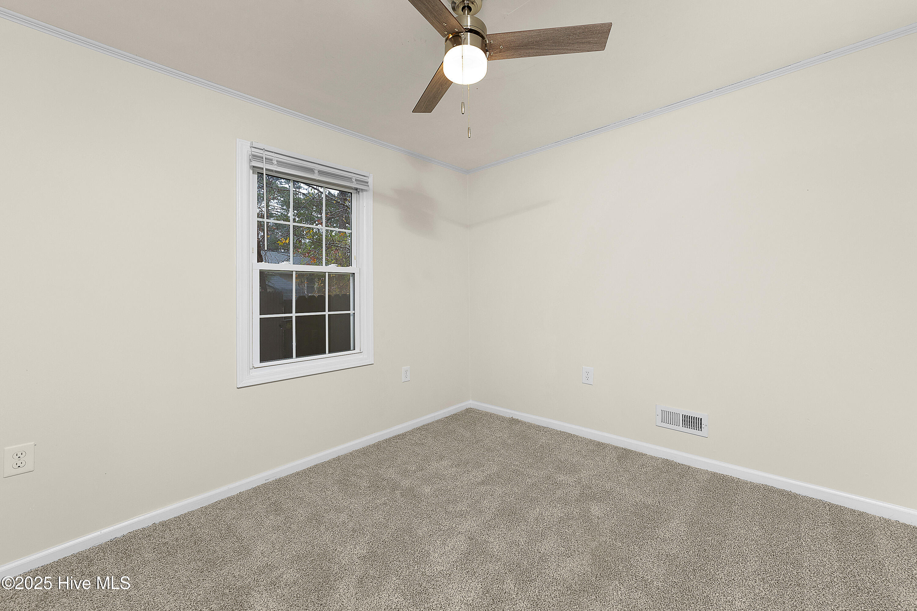 100541900 | Photo 15