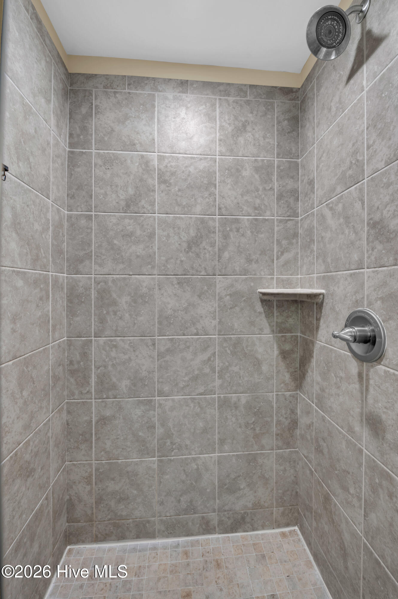 100547452 | Photo 23