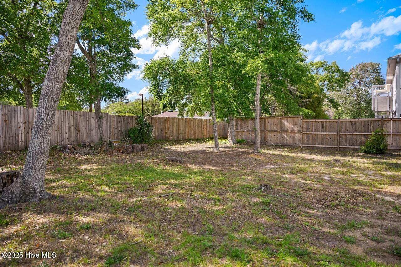 100541389 | Photo 44