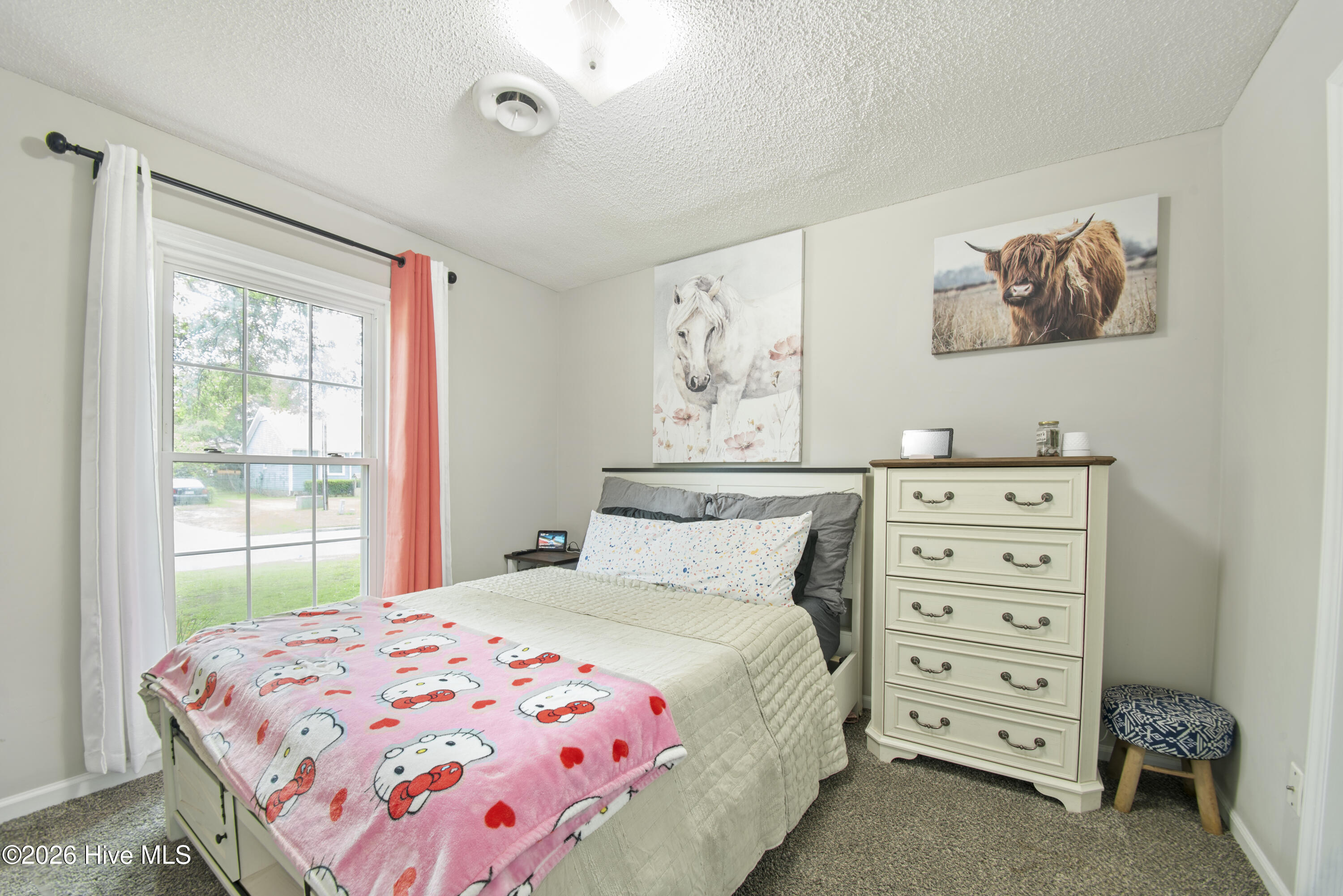 100570335 | Photo 17