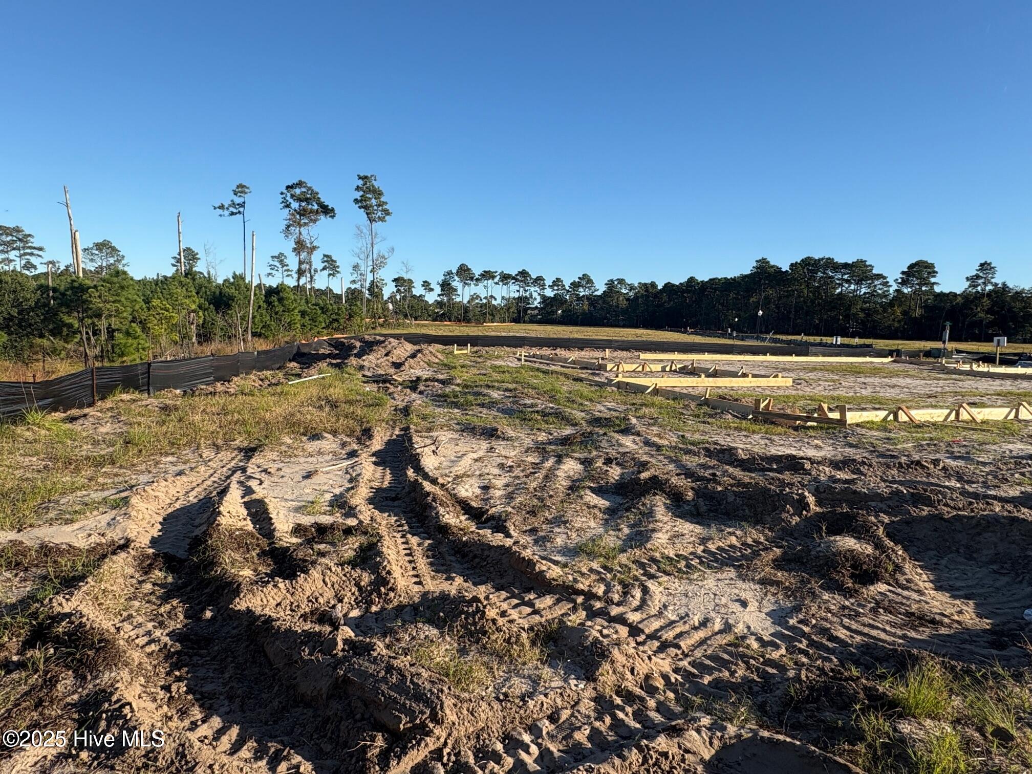 100531116 | Photo 21