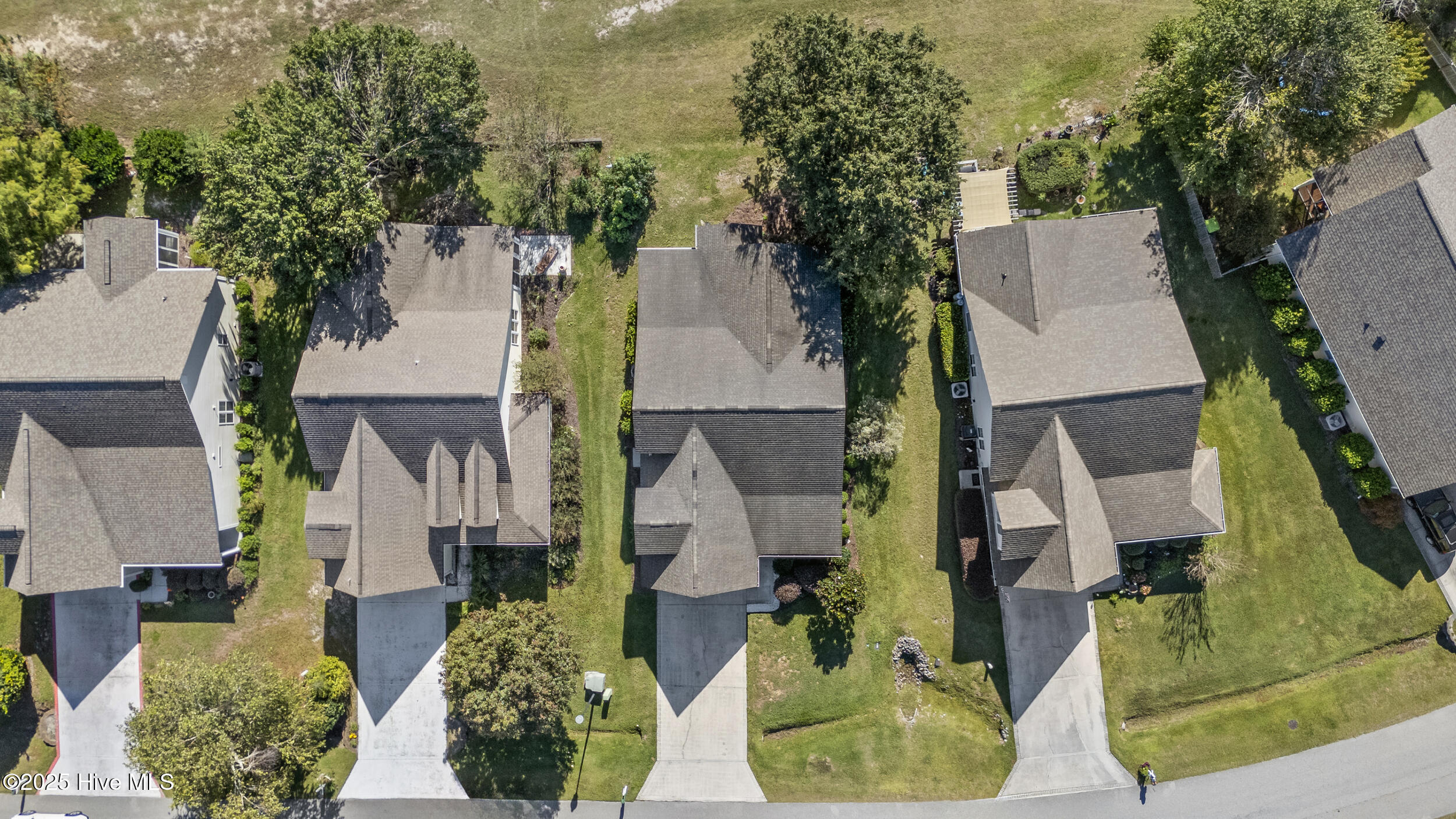 100535393 | Photo 43