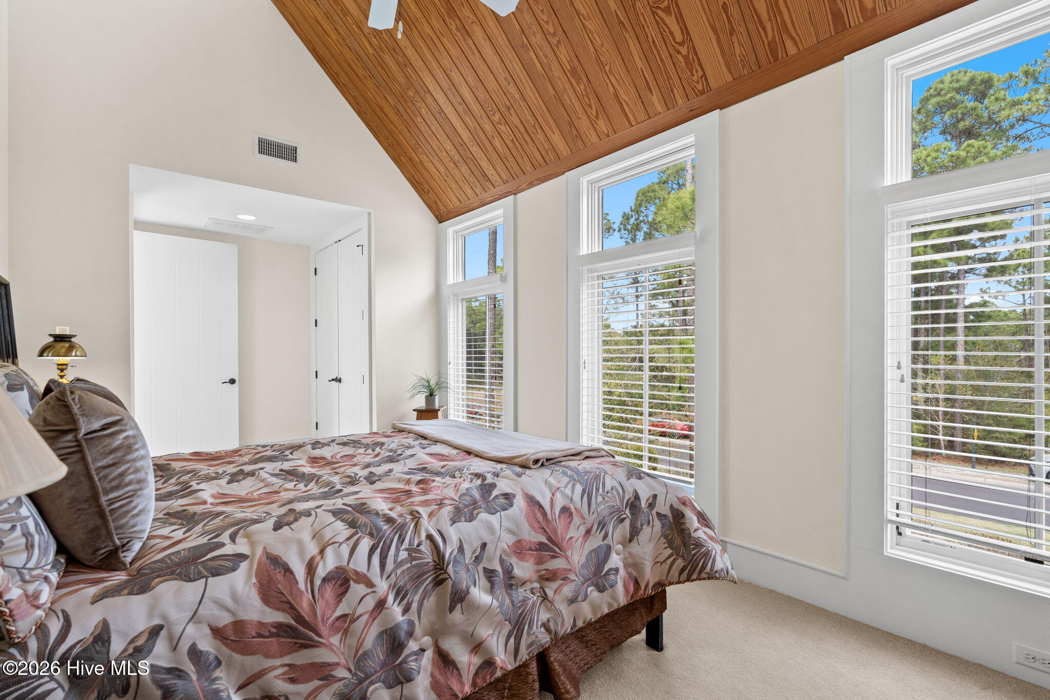 100563236 | Photo 34