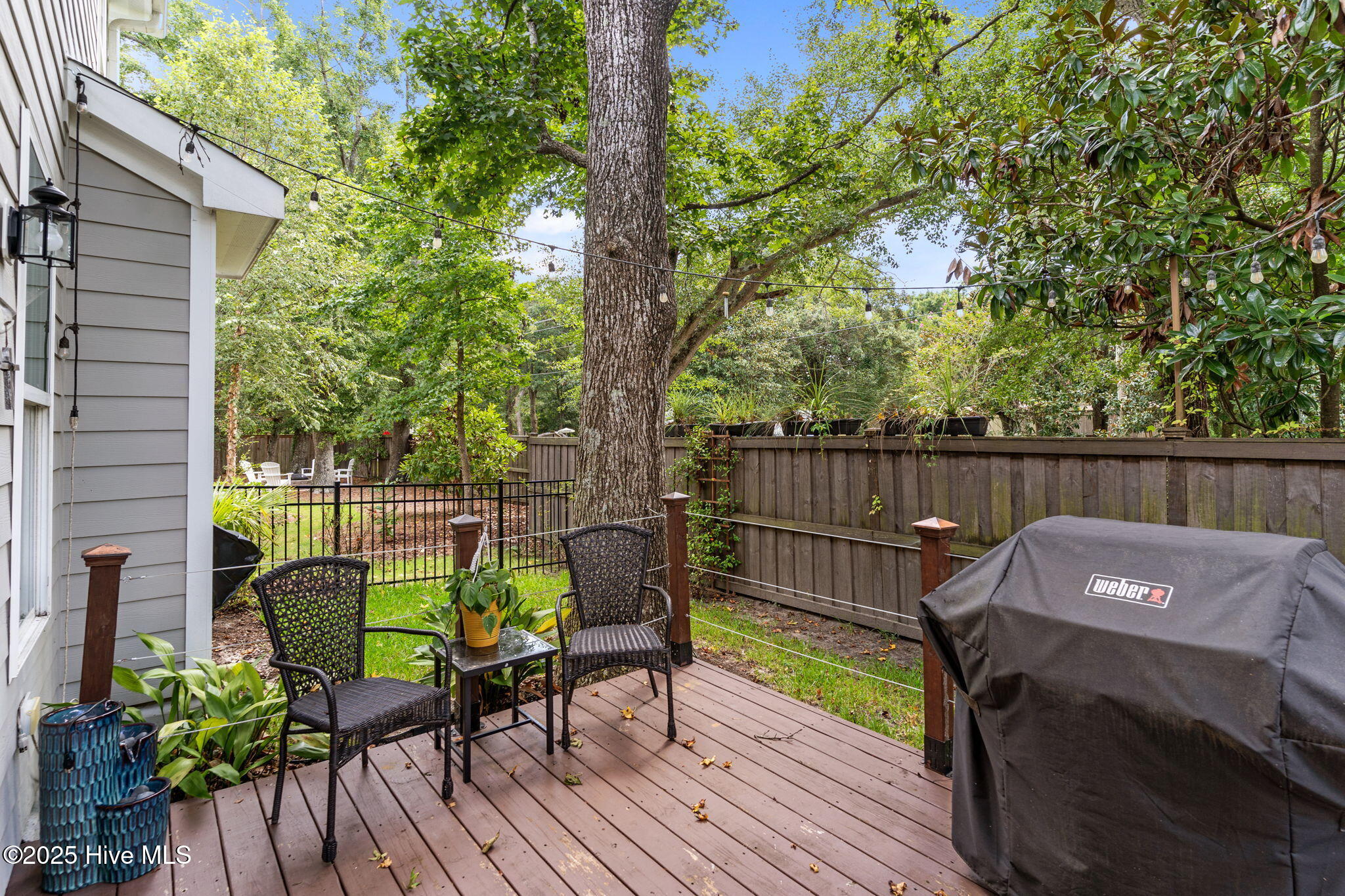 100526886 | Photo 42