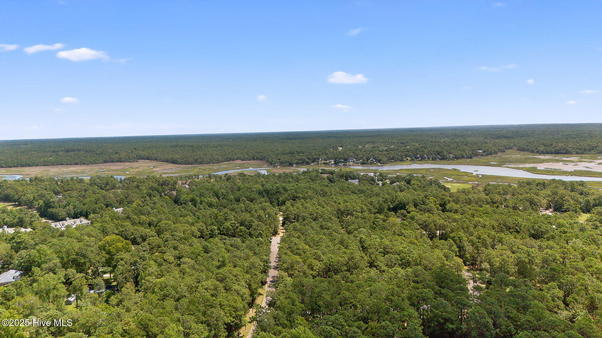 100519533 | Photo 30