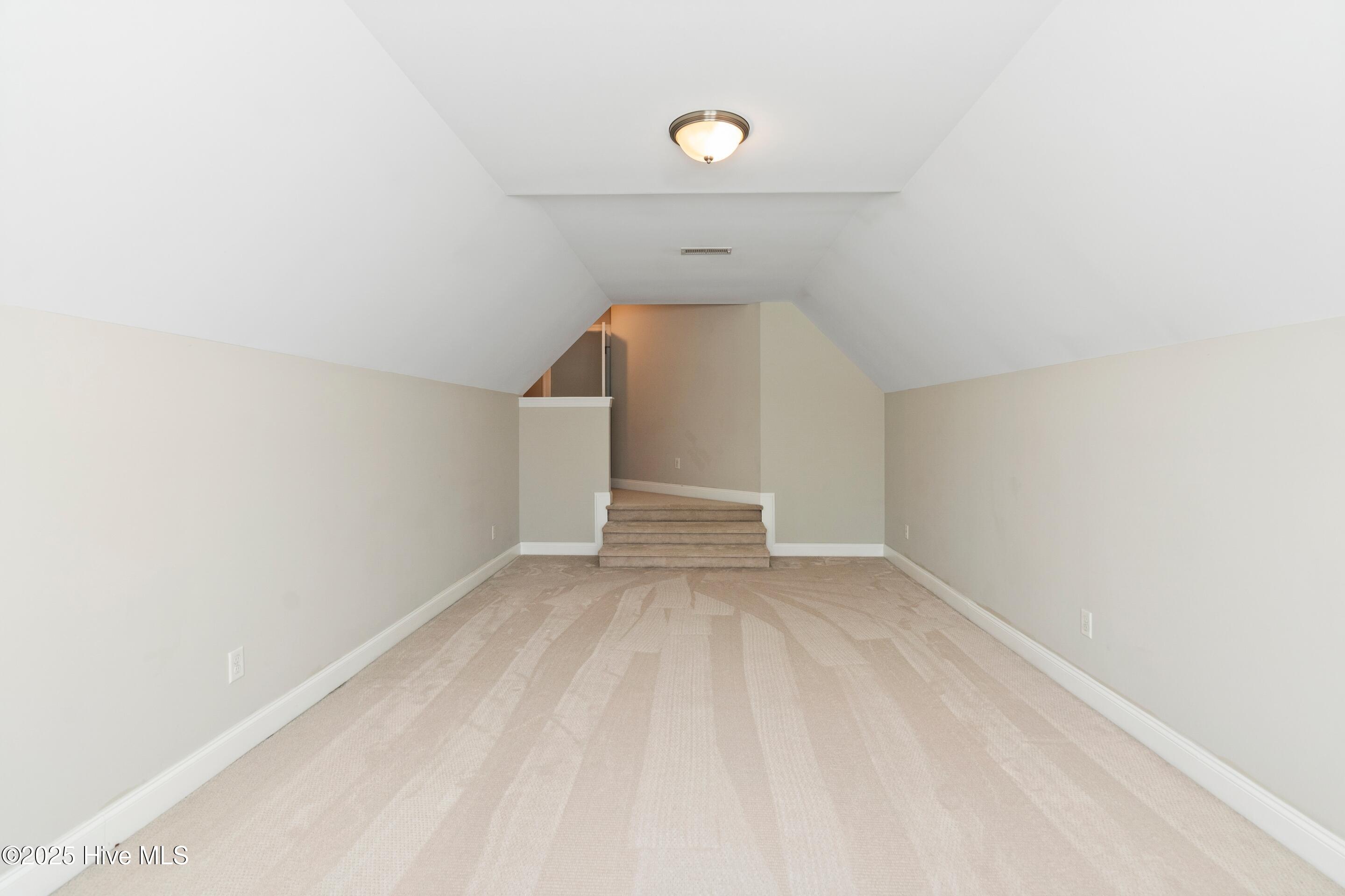 100529495 | Photo 43