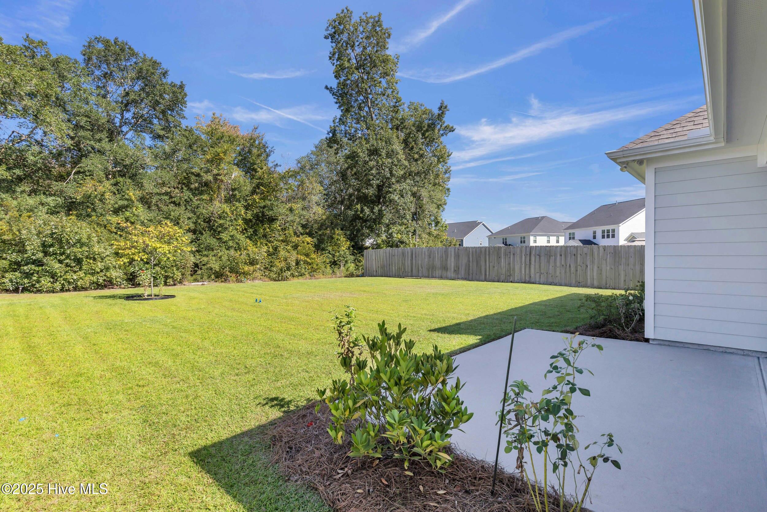 100532615 | Photo 39