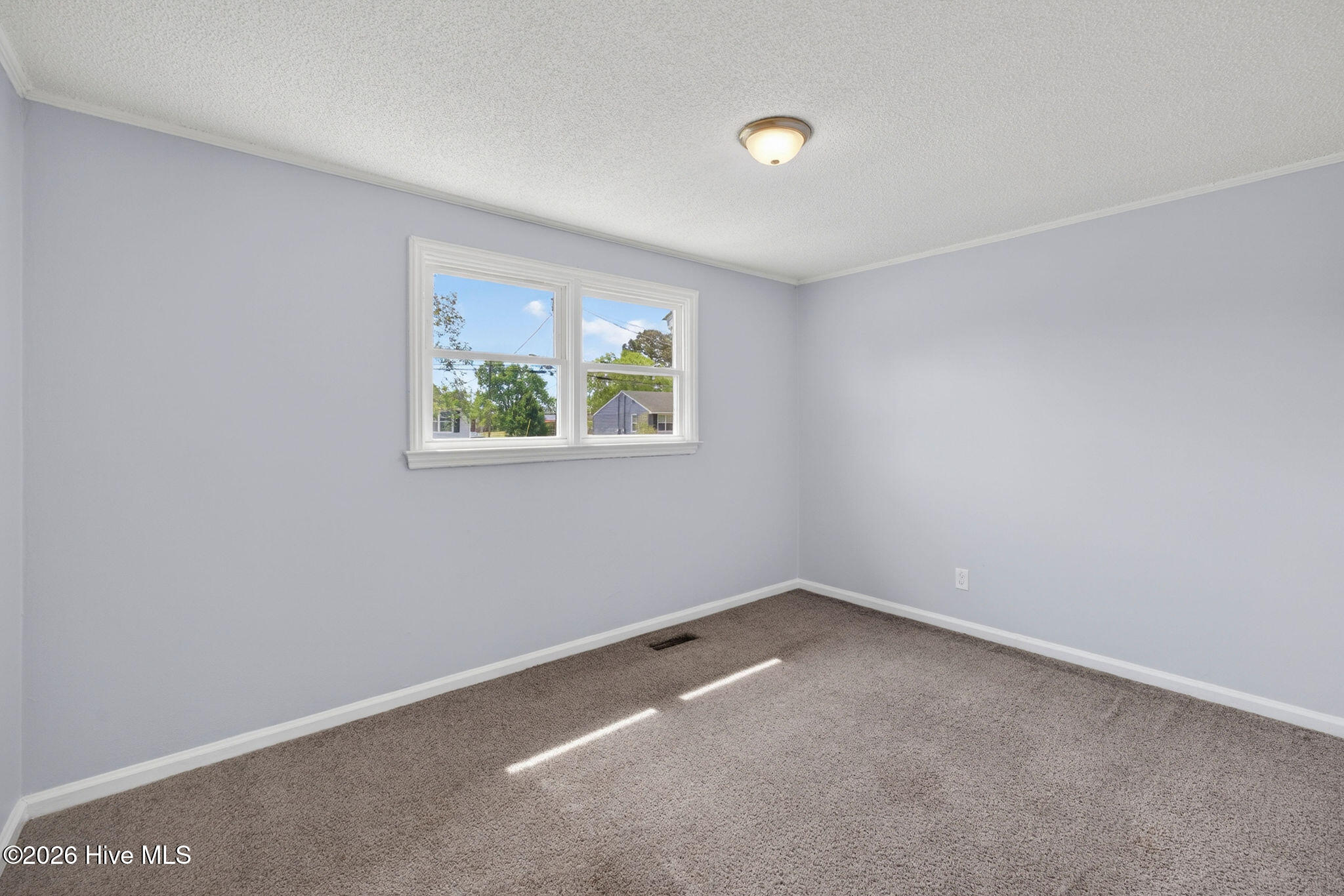 100567273 | Photo 36