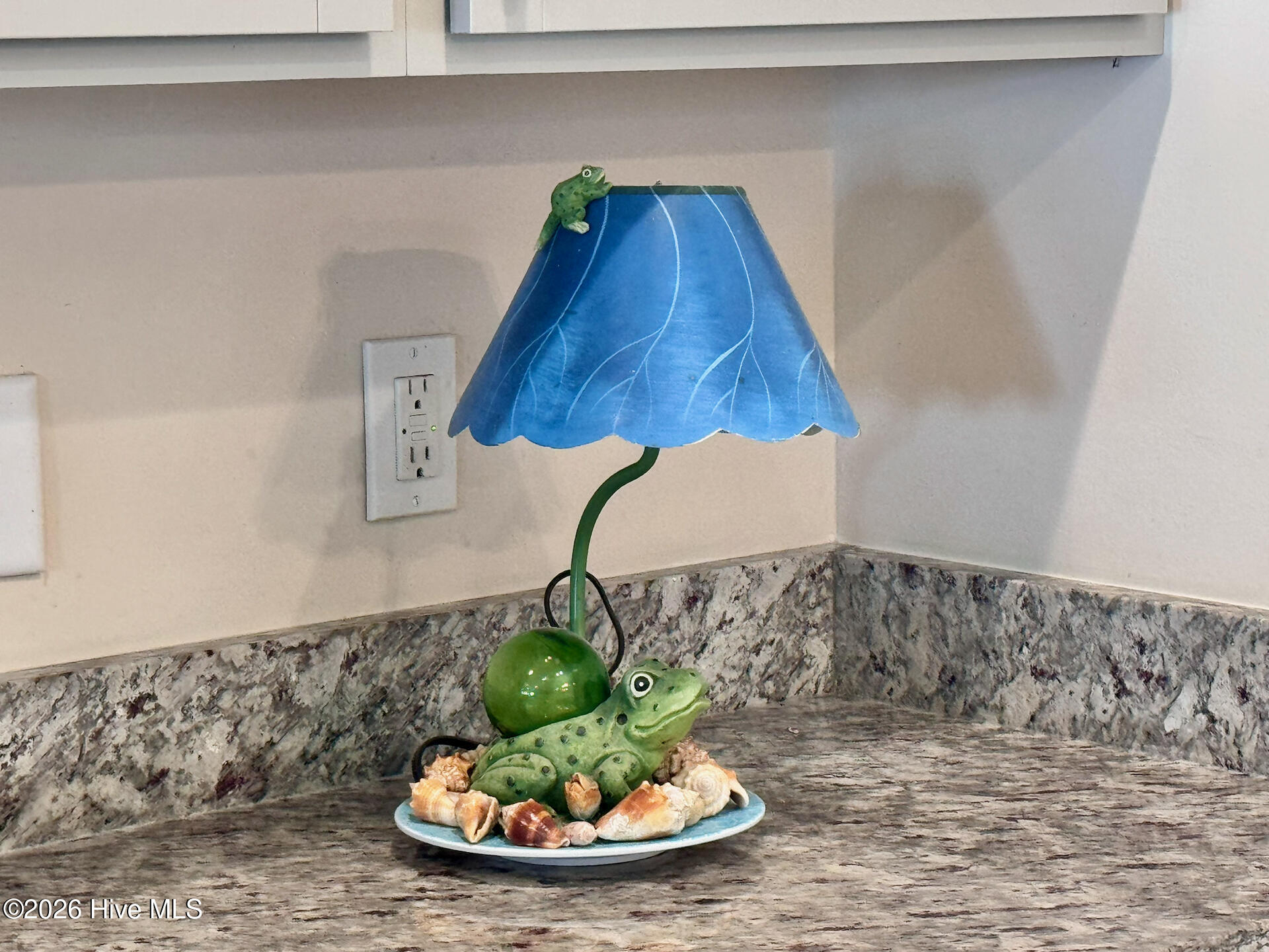 100567509 | Photo 11