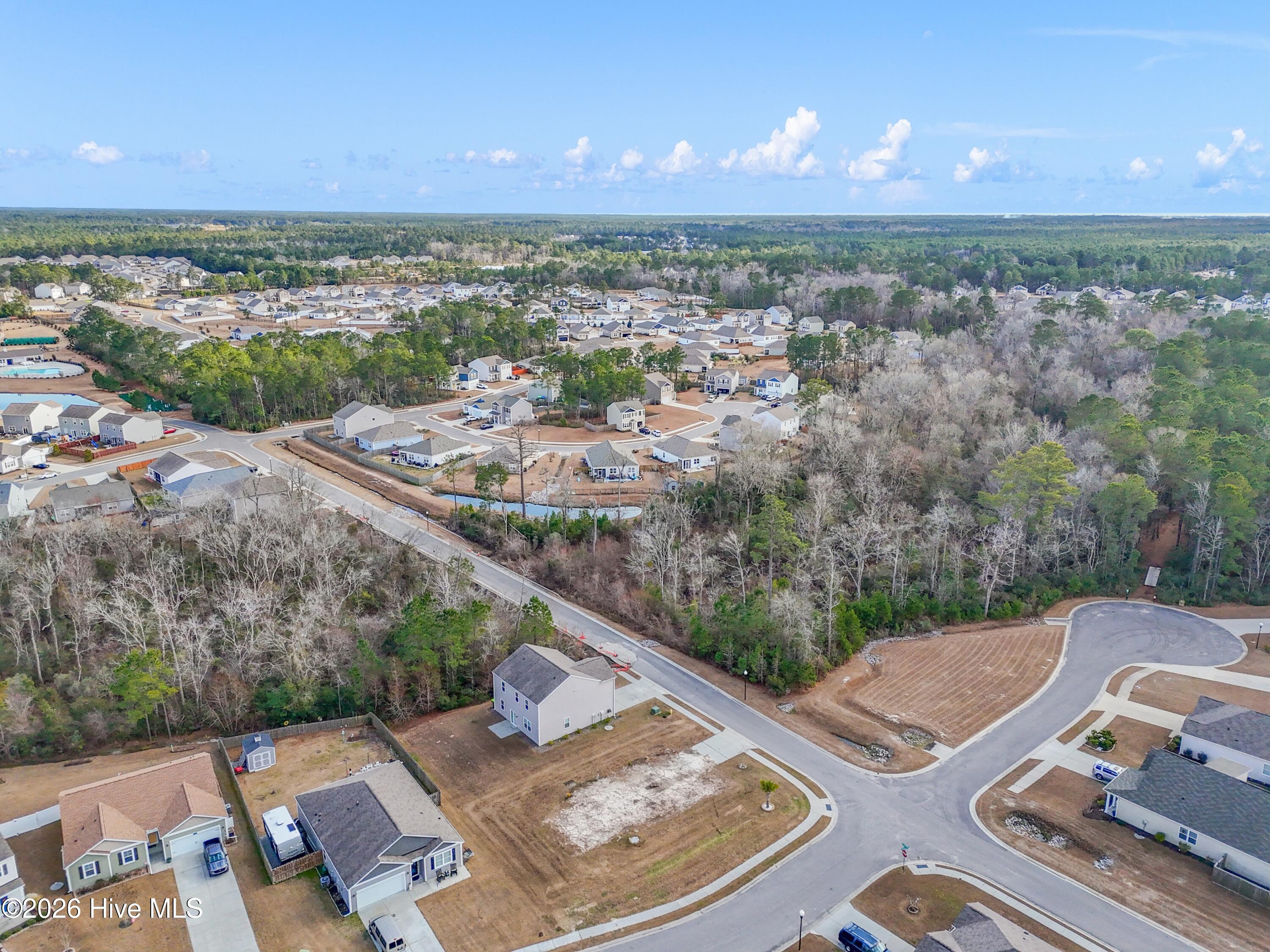 100551003 | Photo 16