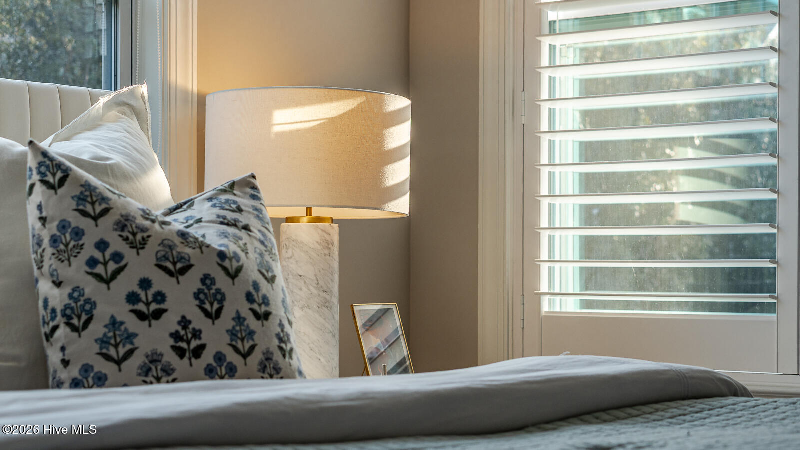 100555037 | Photo 33