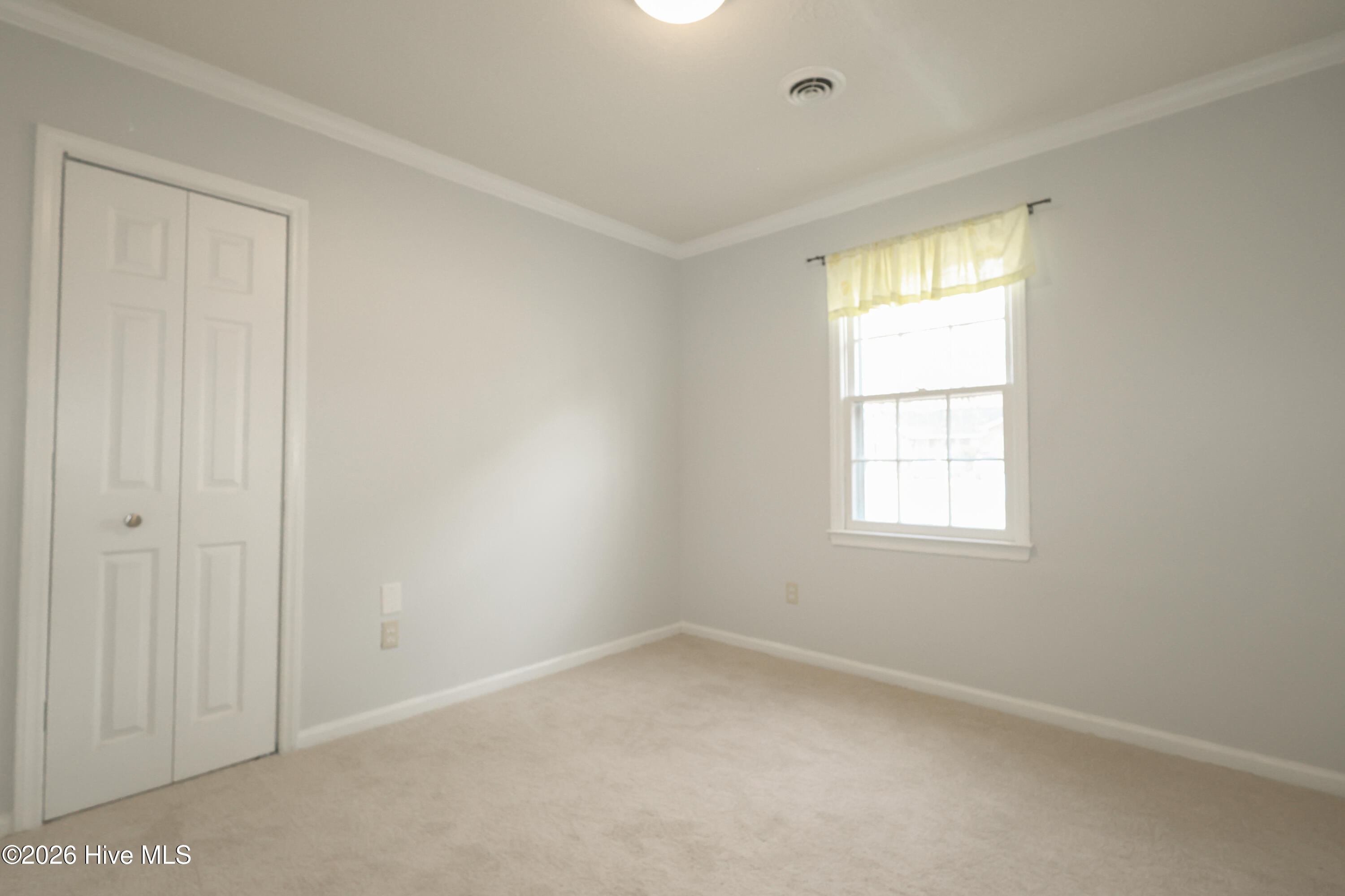 100550161 | Photo 12