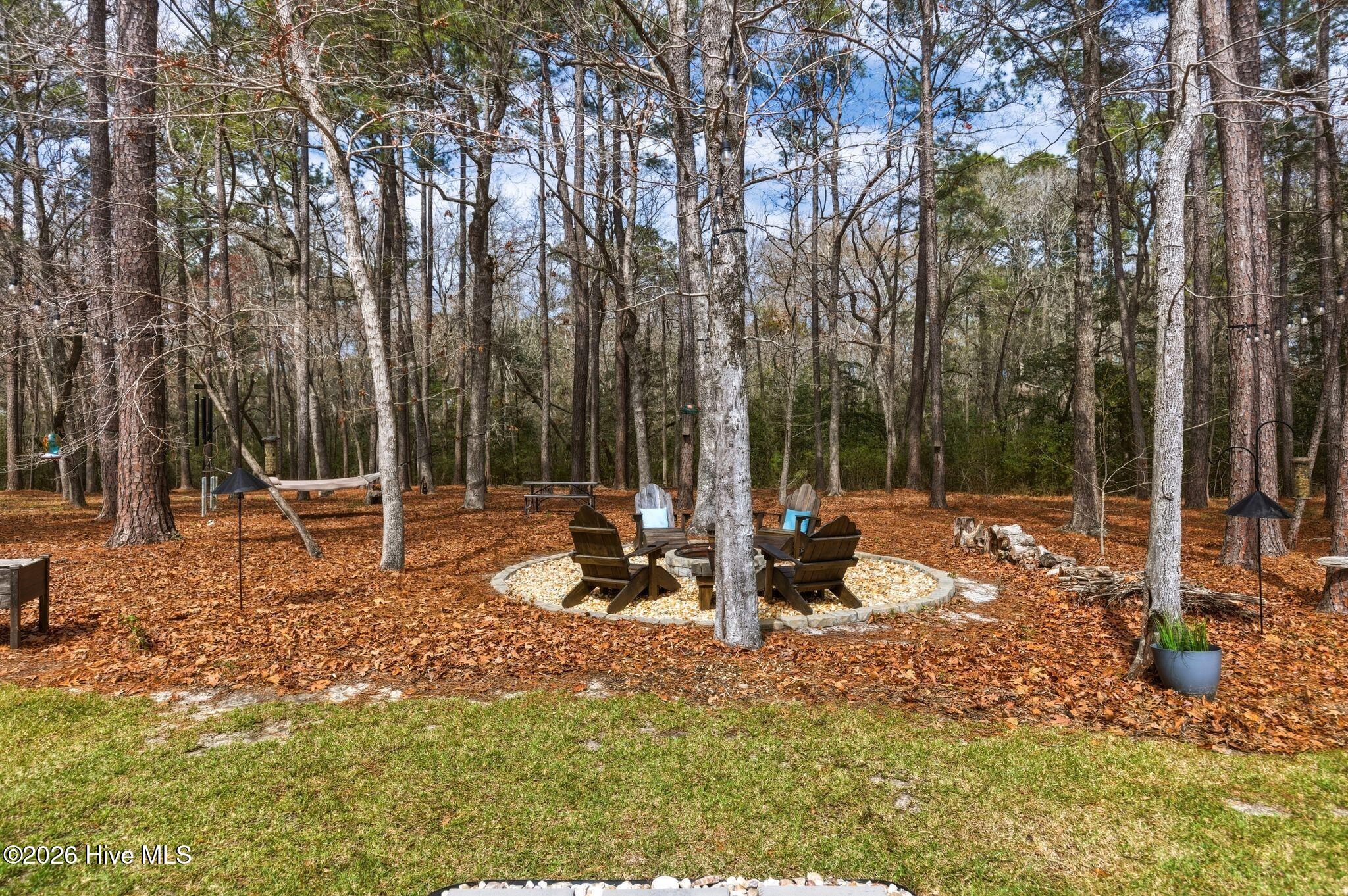 100560702 | Photo 11